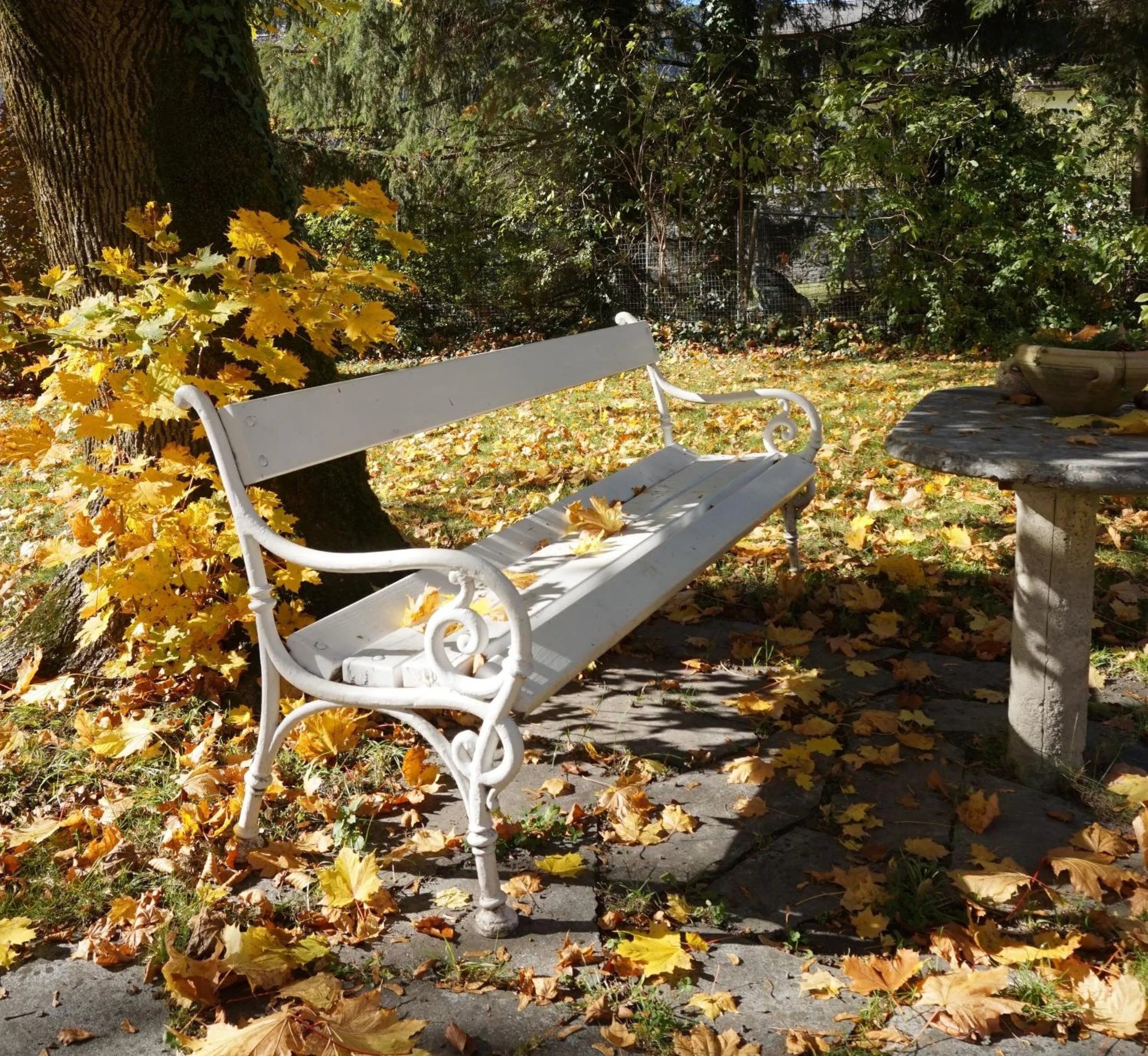 Garden in Landhotel Pacher