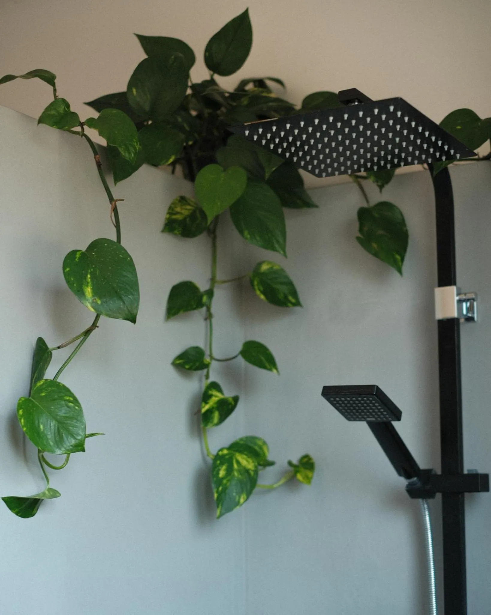 Villa Sayulita Surfhouse