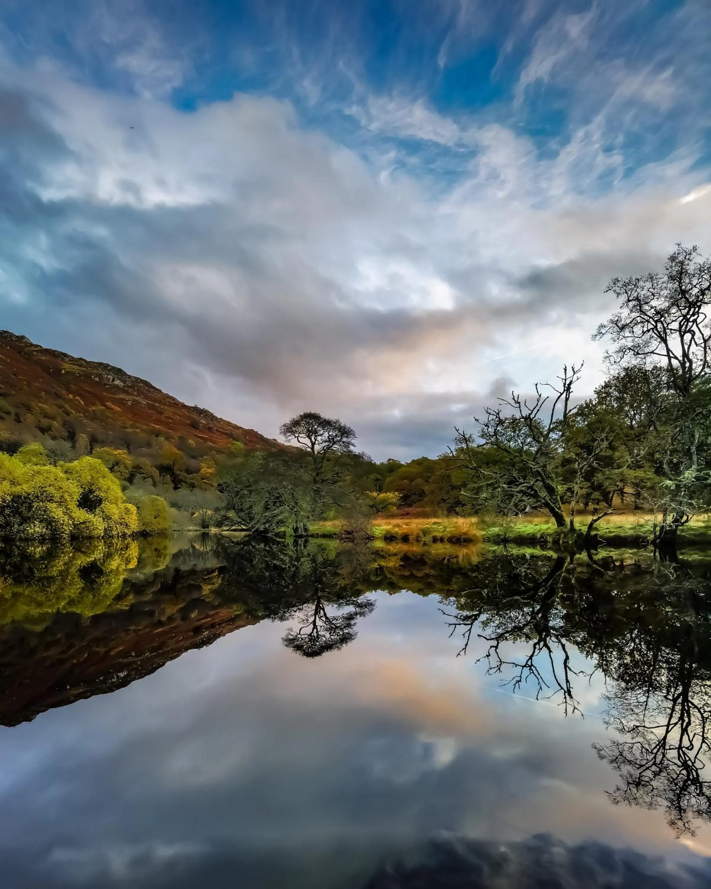 Natural landscape in Bonnie Banks Lodge Ardlui