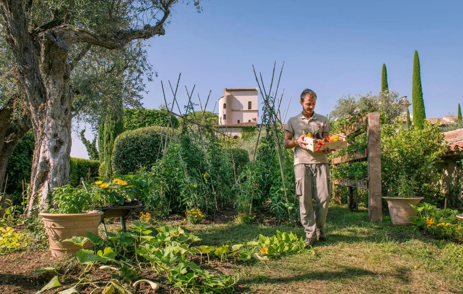 Garden in Château Saint-Martin & Spa, Oetker Hotels