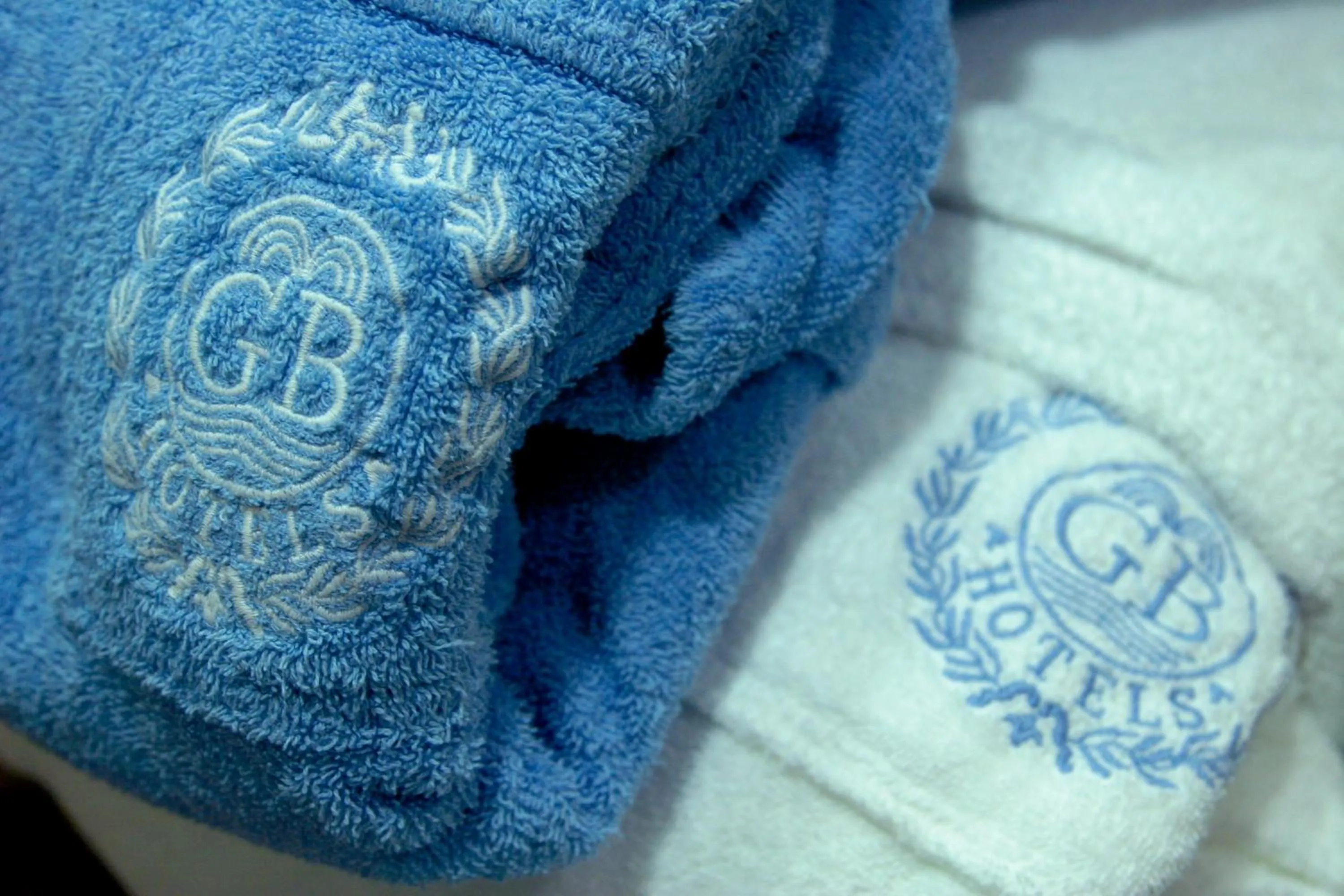 Logo/Certificate/Sign in Grand Hotel Trieste & Victoria