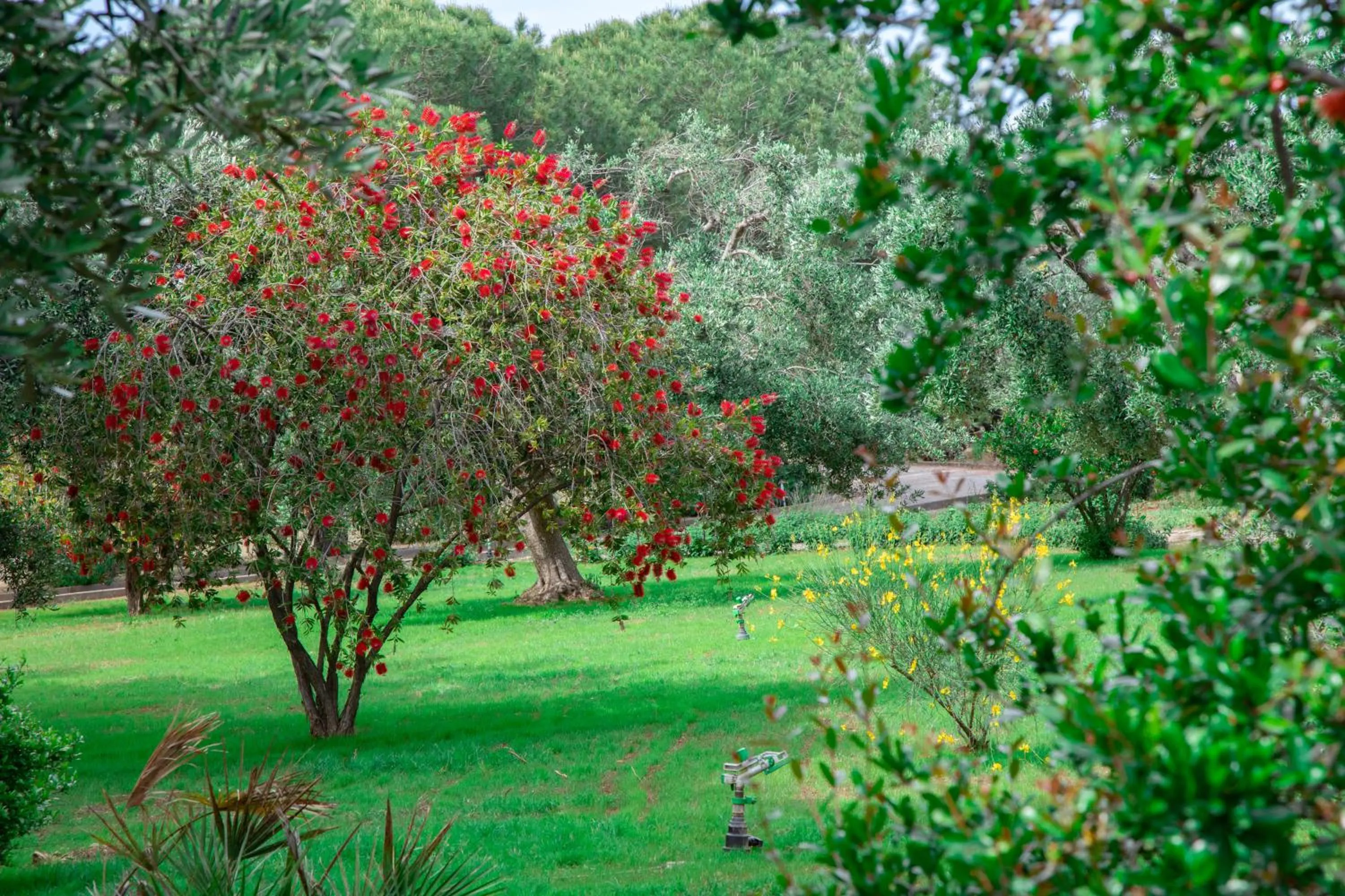 Natural landscape in Relais d 'Itria