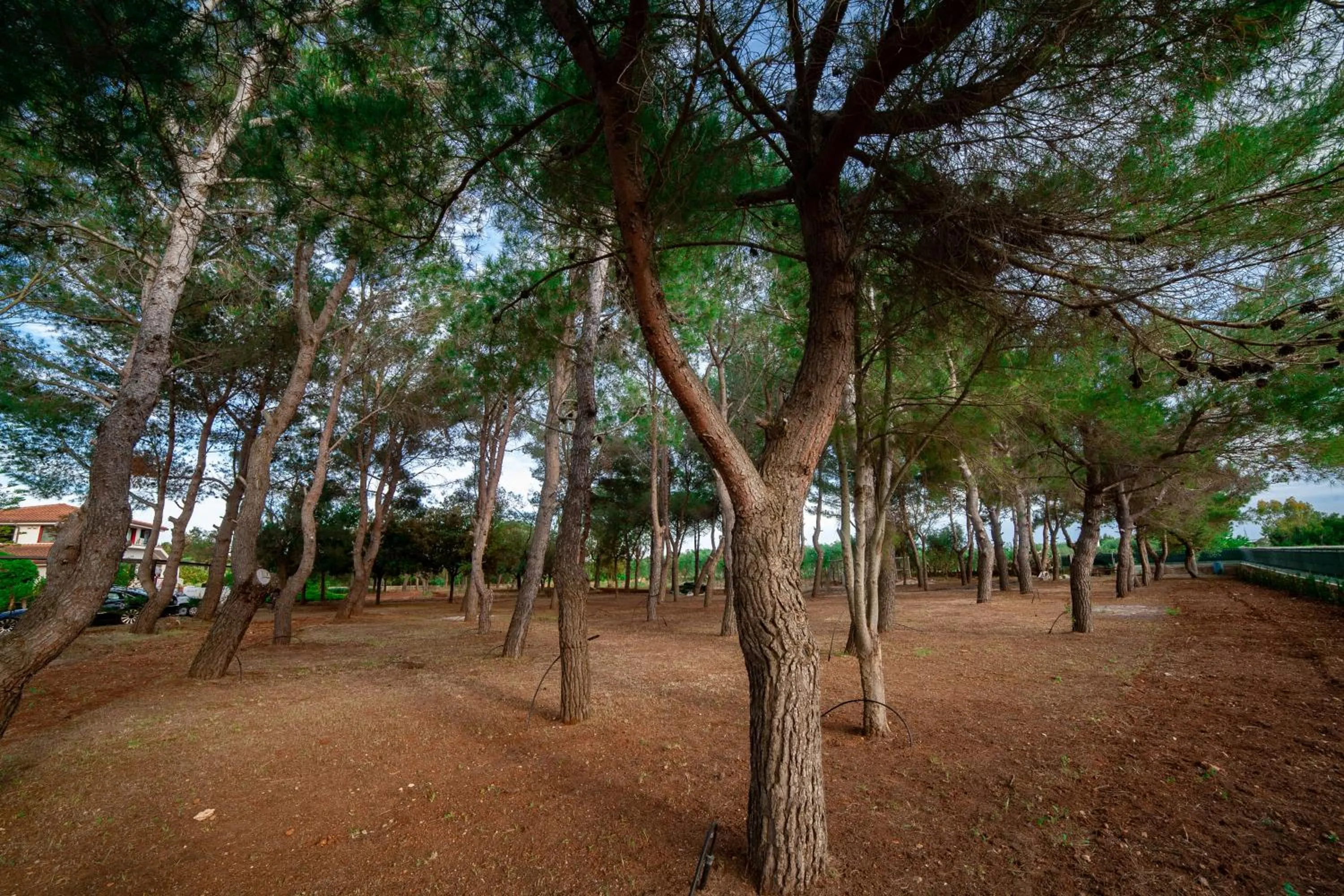 Children play ground in Relais d 'Itria