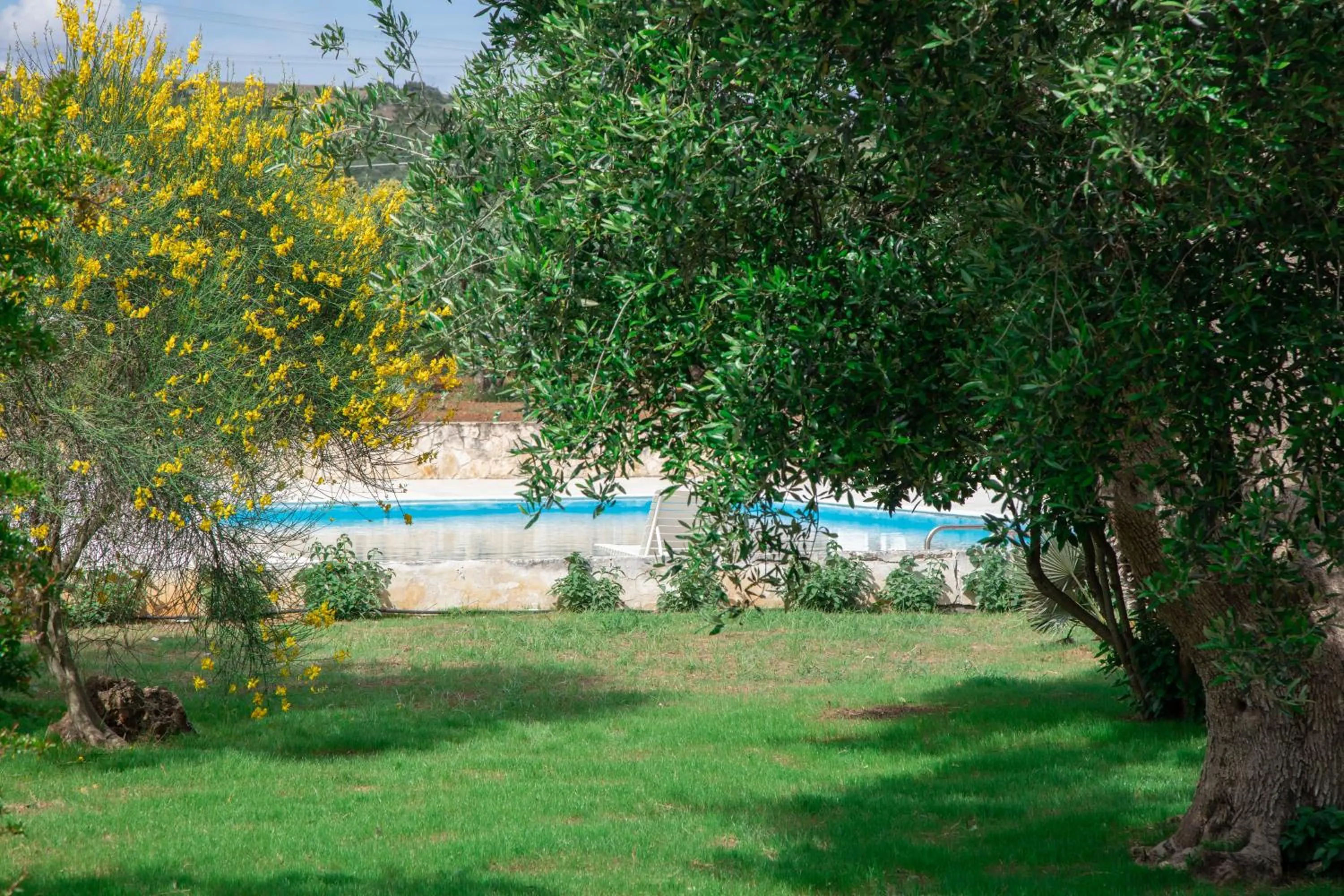 Garden in Relais d 'Itria