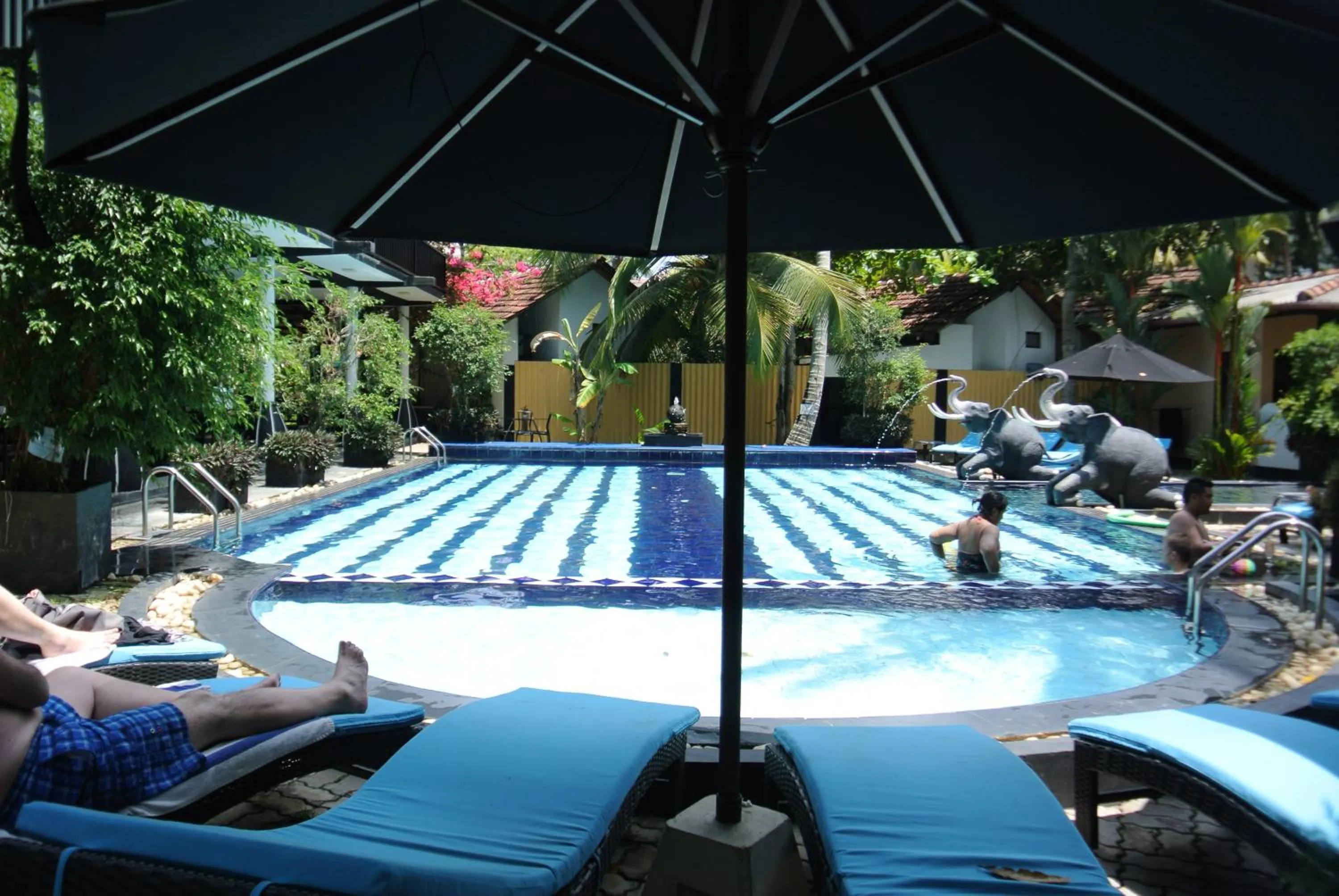 Swimming pool in Hotel Flower Garden