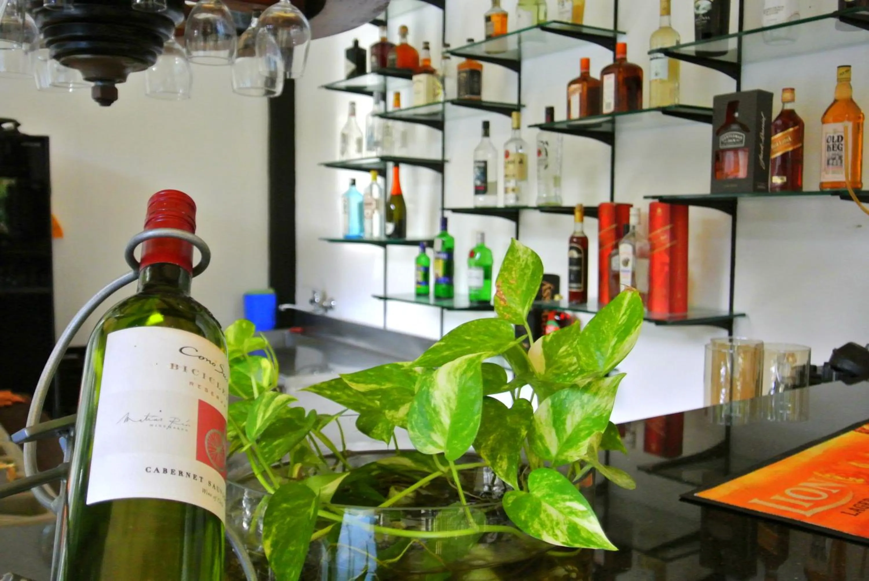 Restaurant/places to eat in Hotel Flower Garden