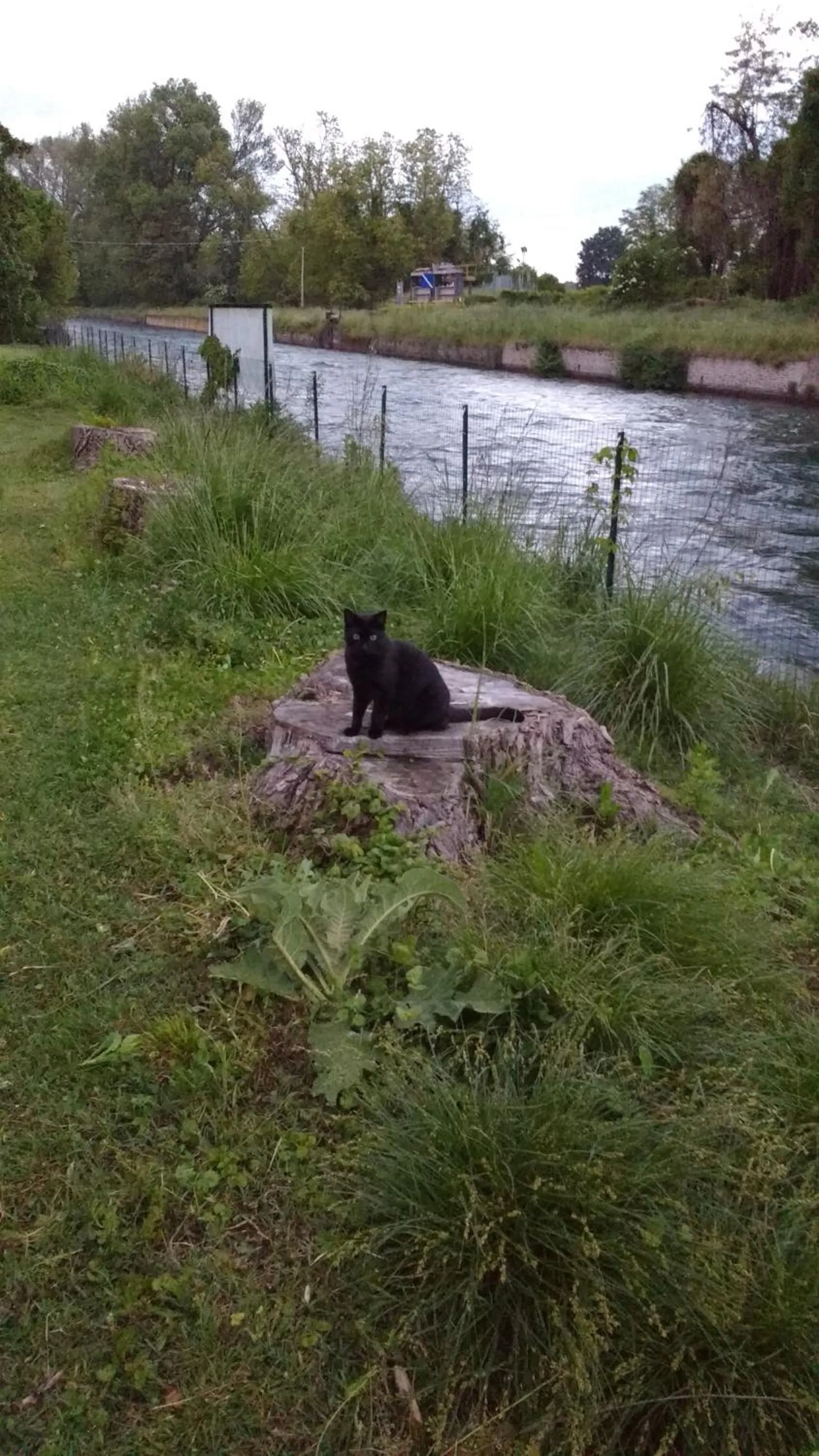 Pets in Agriturismo Cascina Poscallone