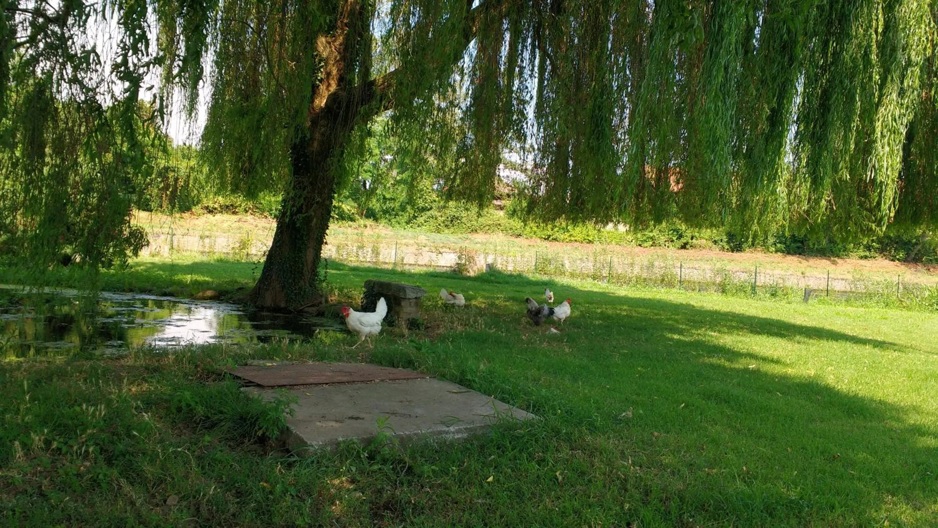 Natural landscape in Agriturismo Cascina Poscallone
