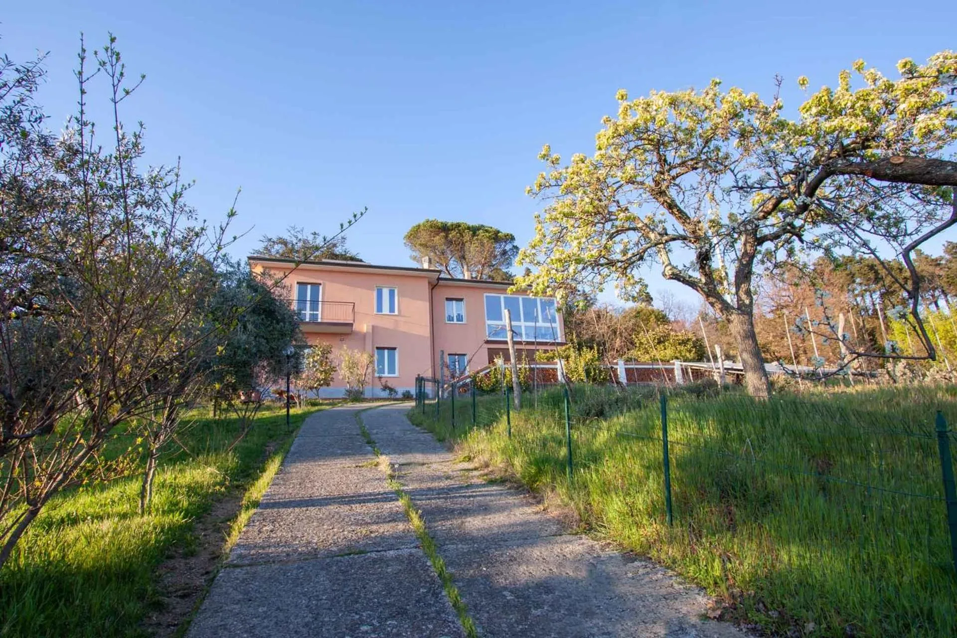 Property building in La Camelia Bianca B&B