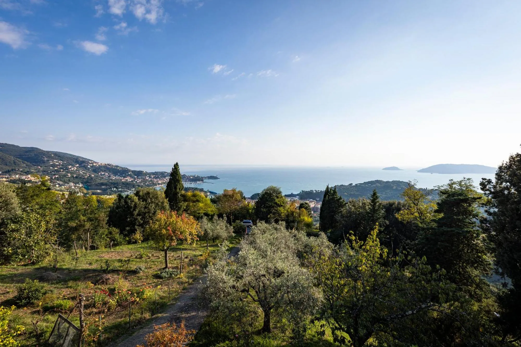 Natural landscape in La Camelia Bianca B&B