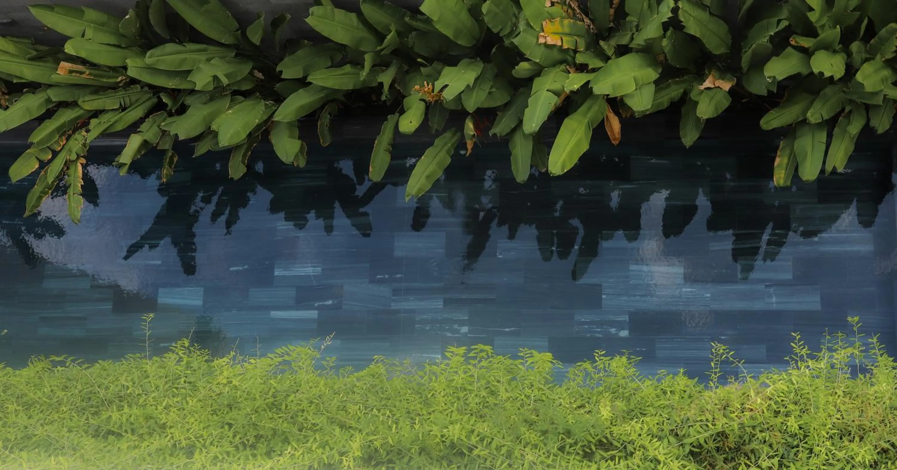 Spring in K House Apartment Danang Beach