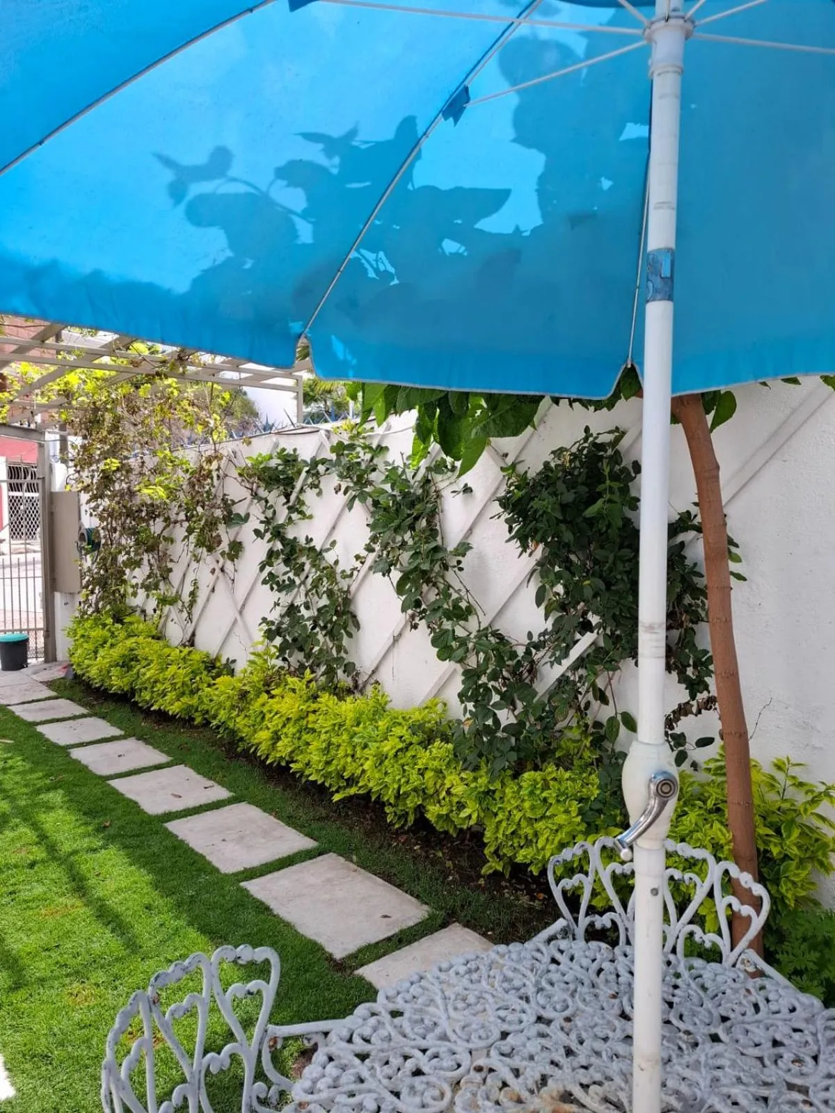 Garden in Milenio III B&B