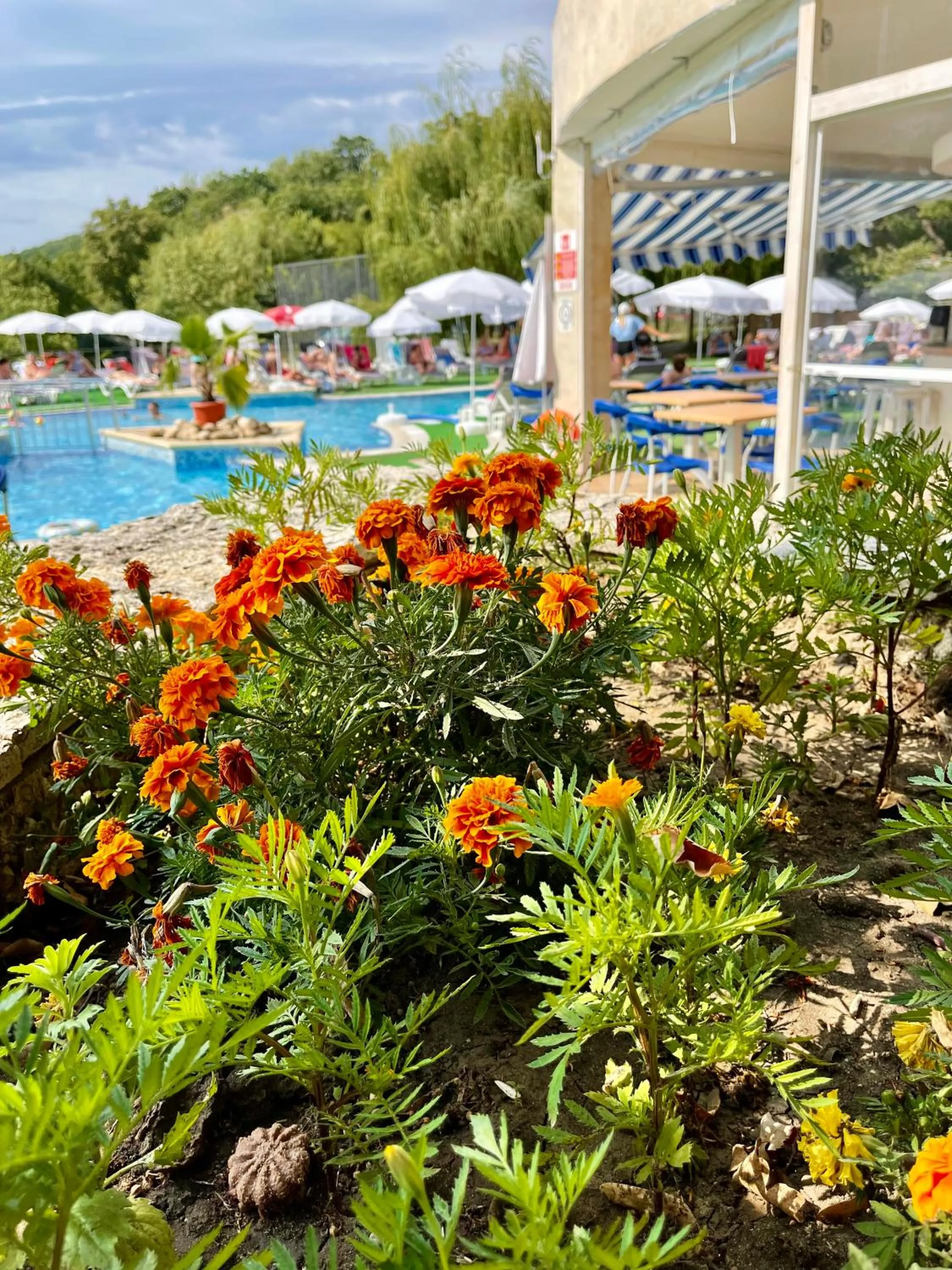 Spring in BSA Holiday Park Hotel - All Inclusive