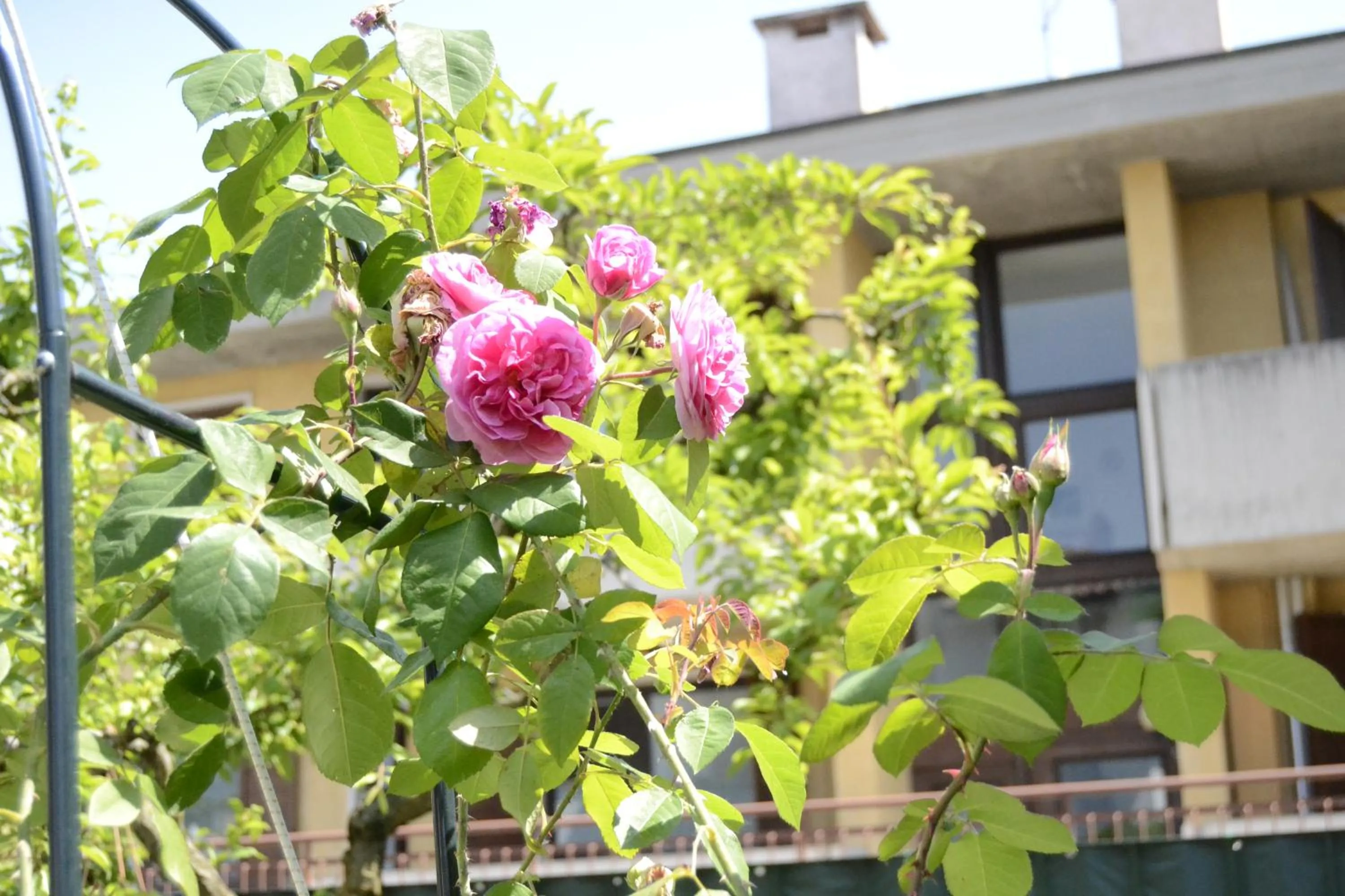 Beach in Il Sole e la Luna B&B in Garda