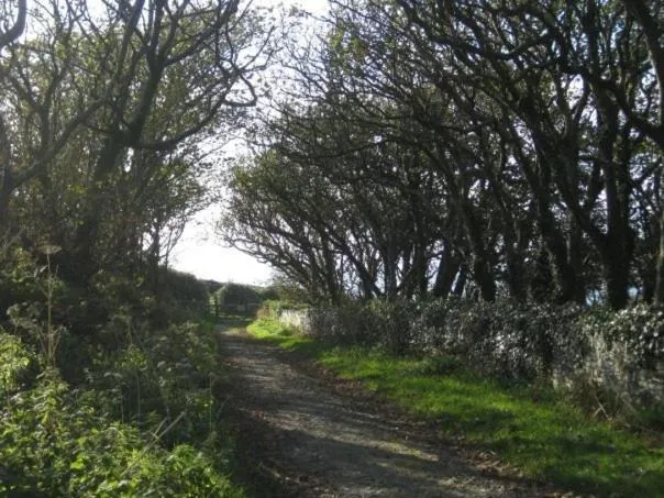 Natural landscape in Trelough House B&B