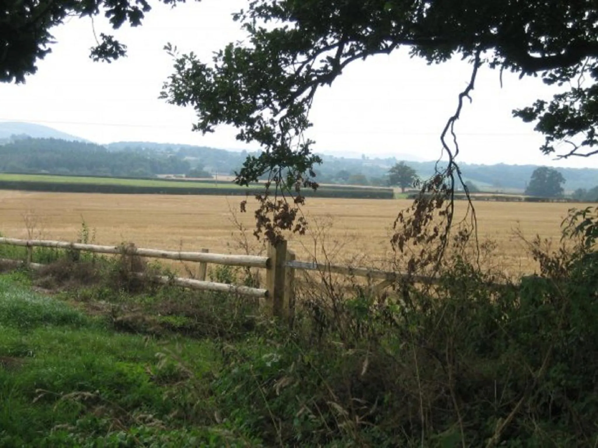 Natural landscape in Trelough House B&B