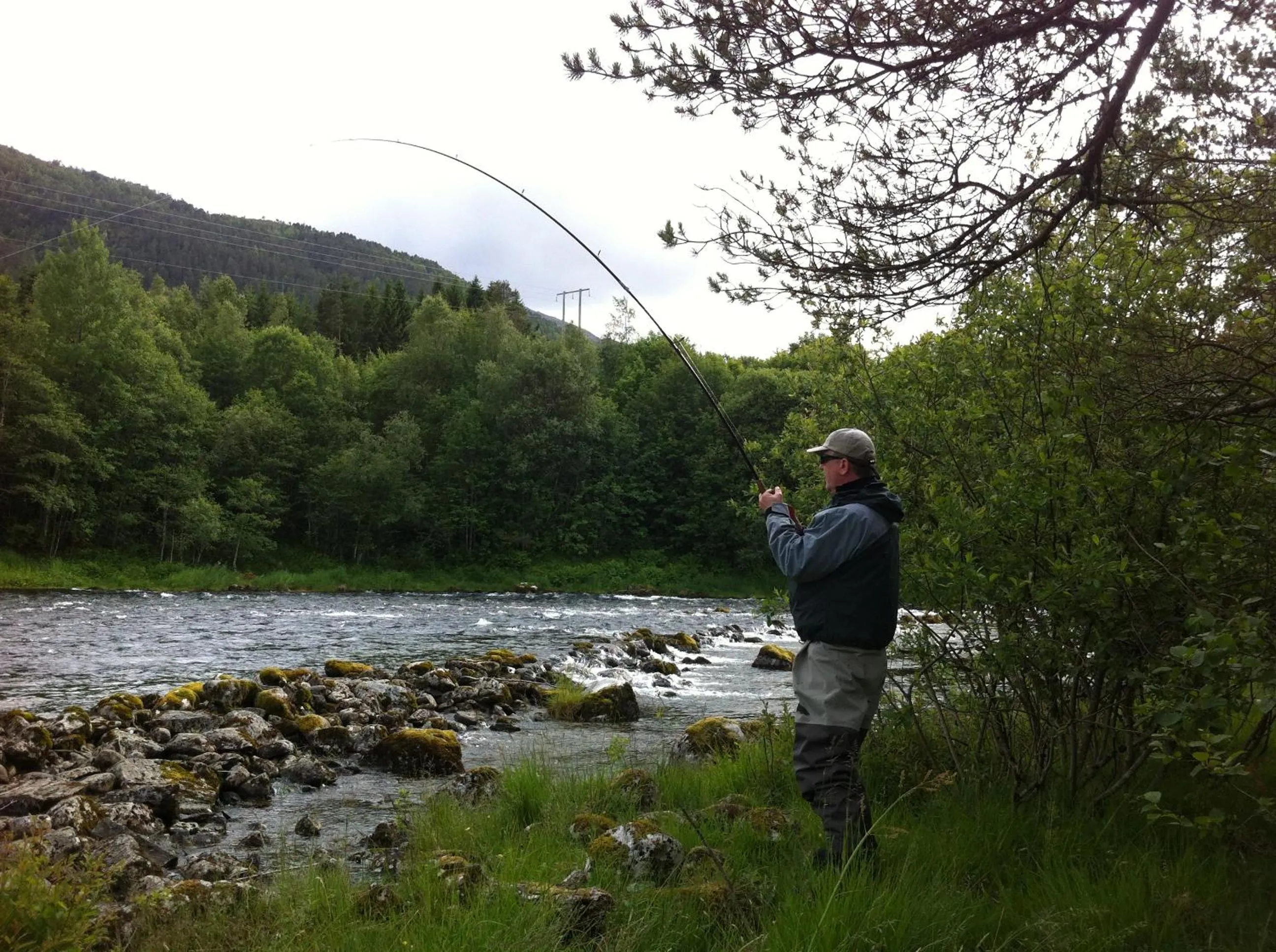 Fishing in Nordfjord Hotell - Bryggen