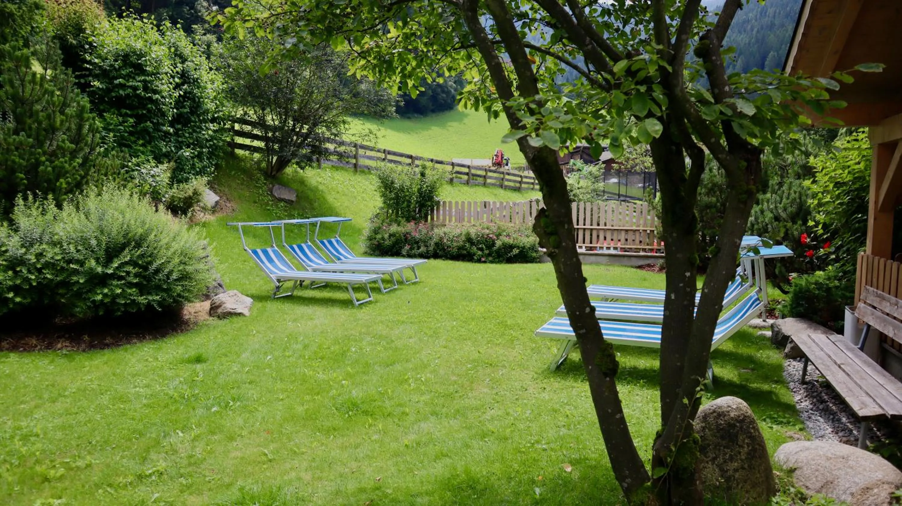Swimming pool in Almhotel Bergerhof
