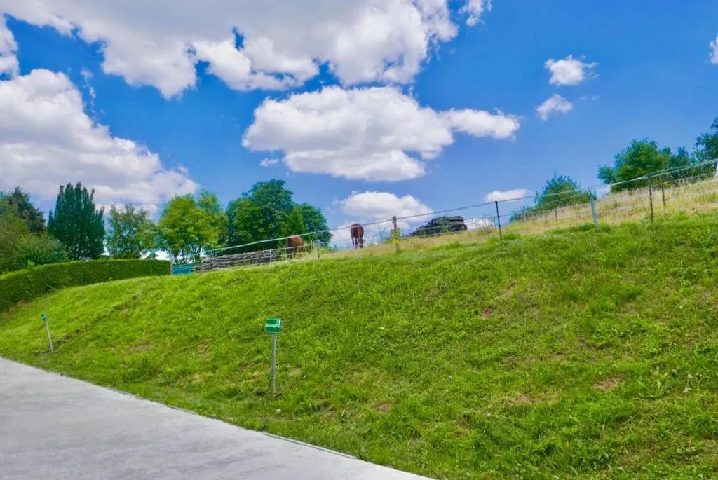 Spring in Hotel Best one