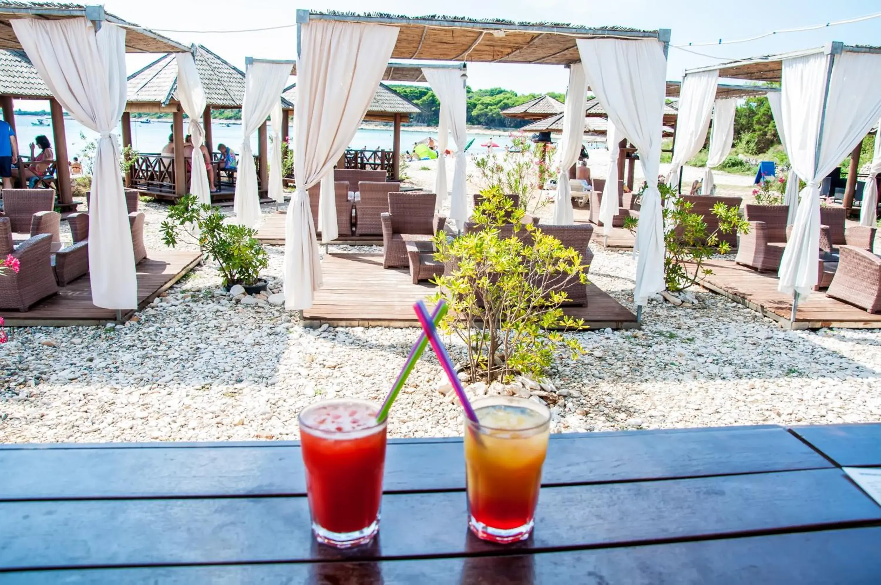 Lounge or bar in Hotel Agava Lounge or bar in Hotel Agava