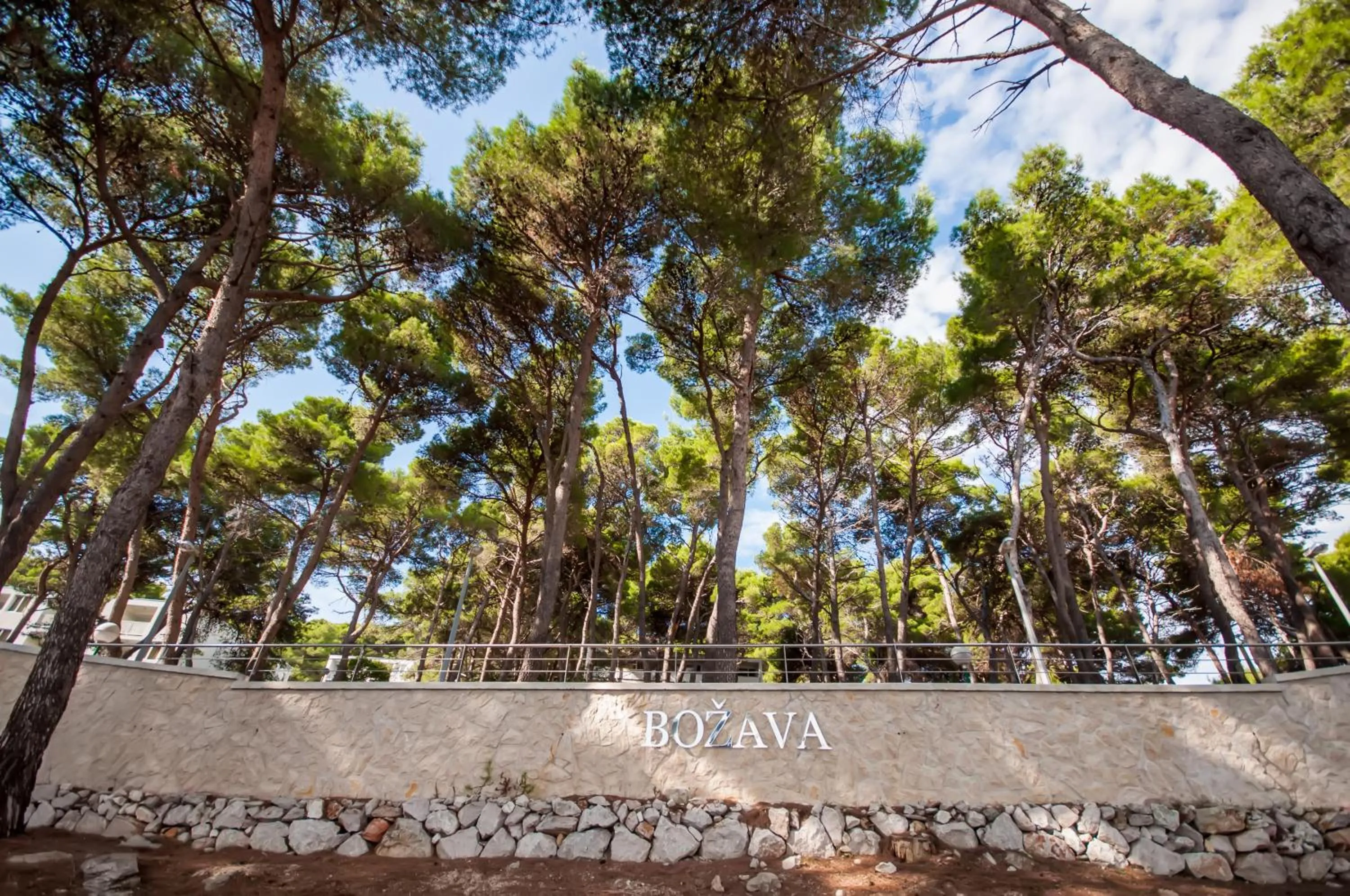 Area and facilities in Hotel Agava