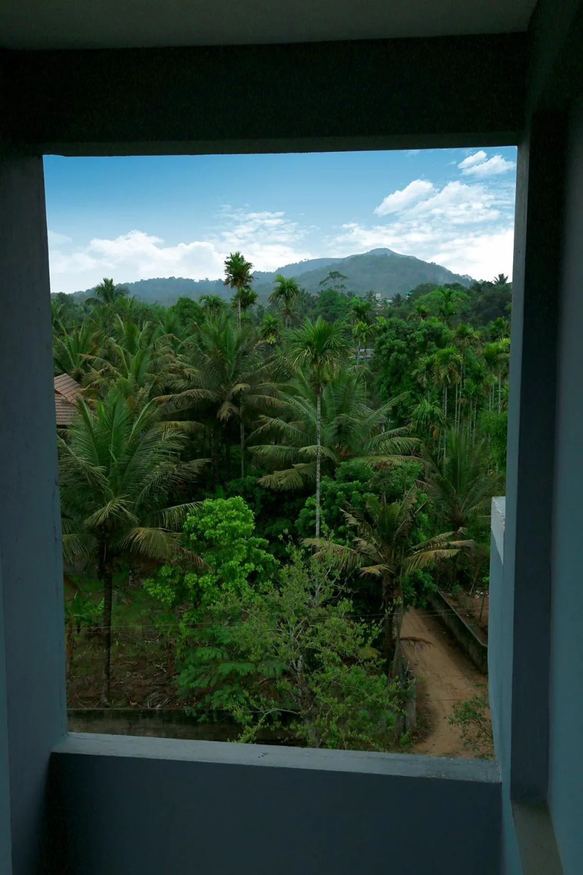 Balcony/Terrace in Woodside residency