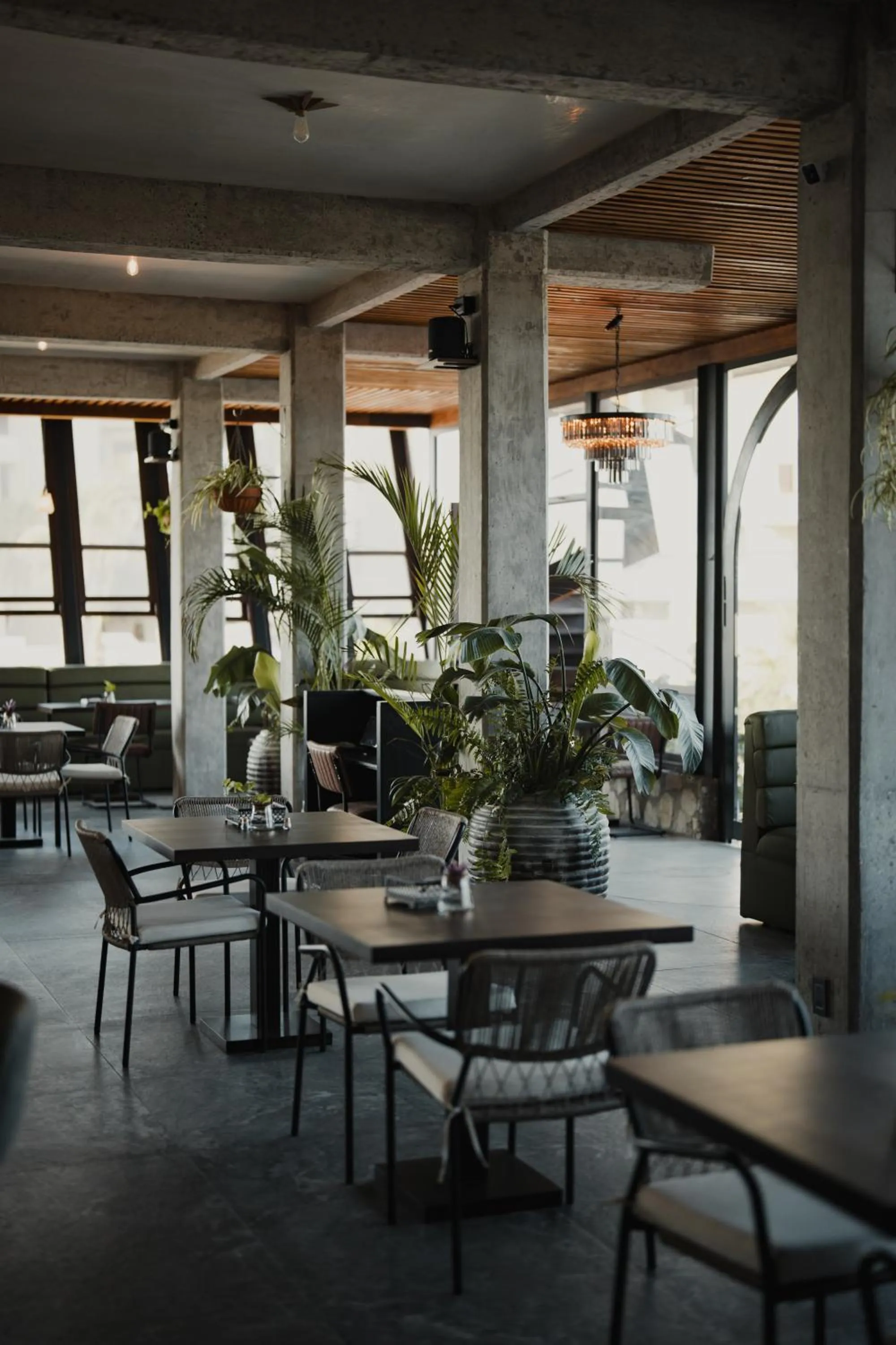 Restaurant/places to eat in Sunrock Hotel & Suites