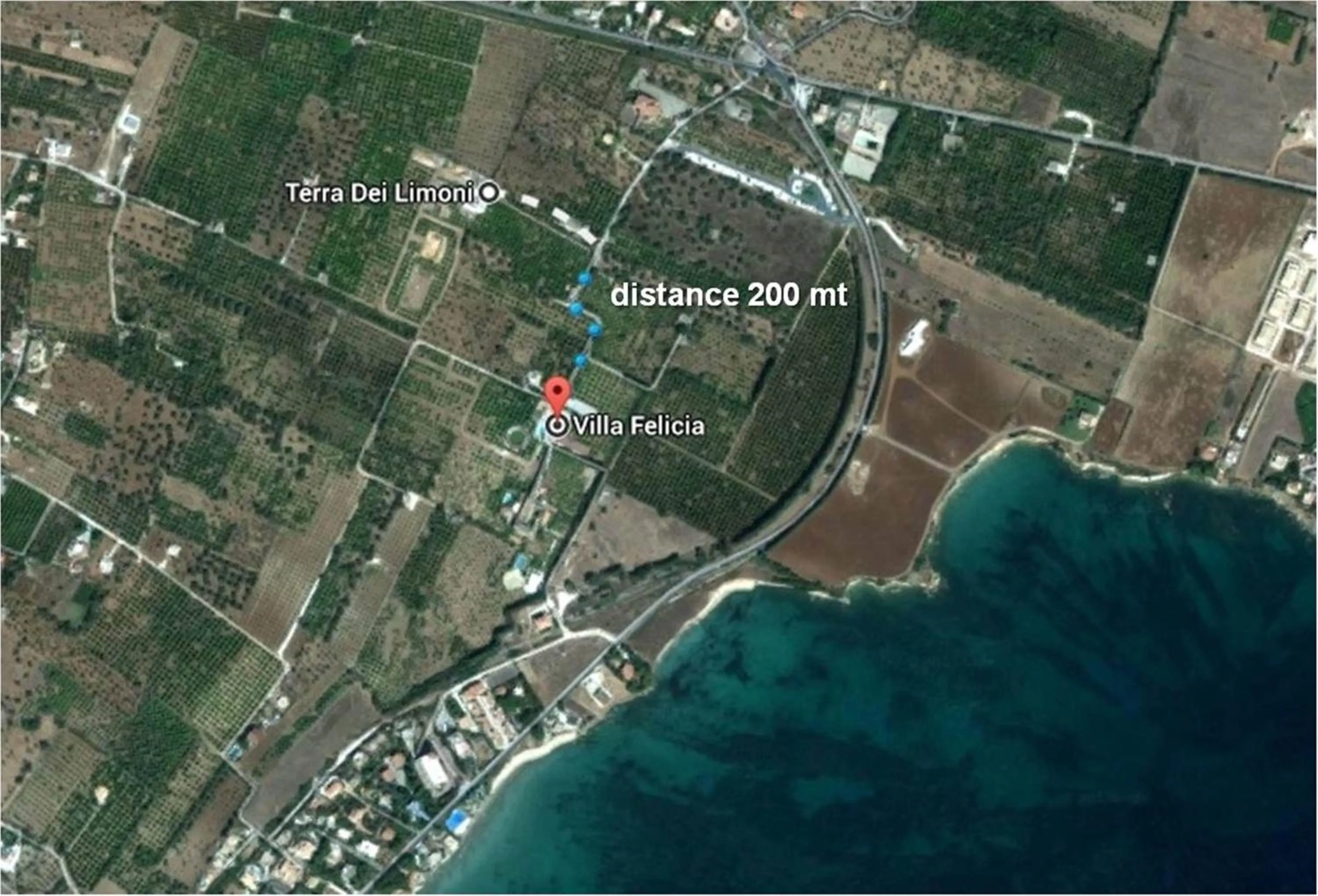 Neighbourhood in Villa Felicia