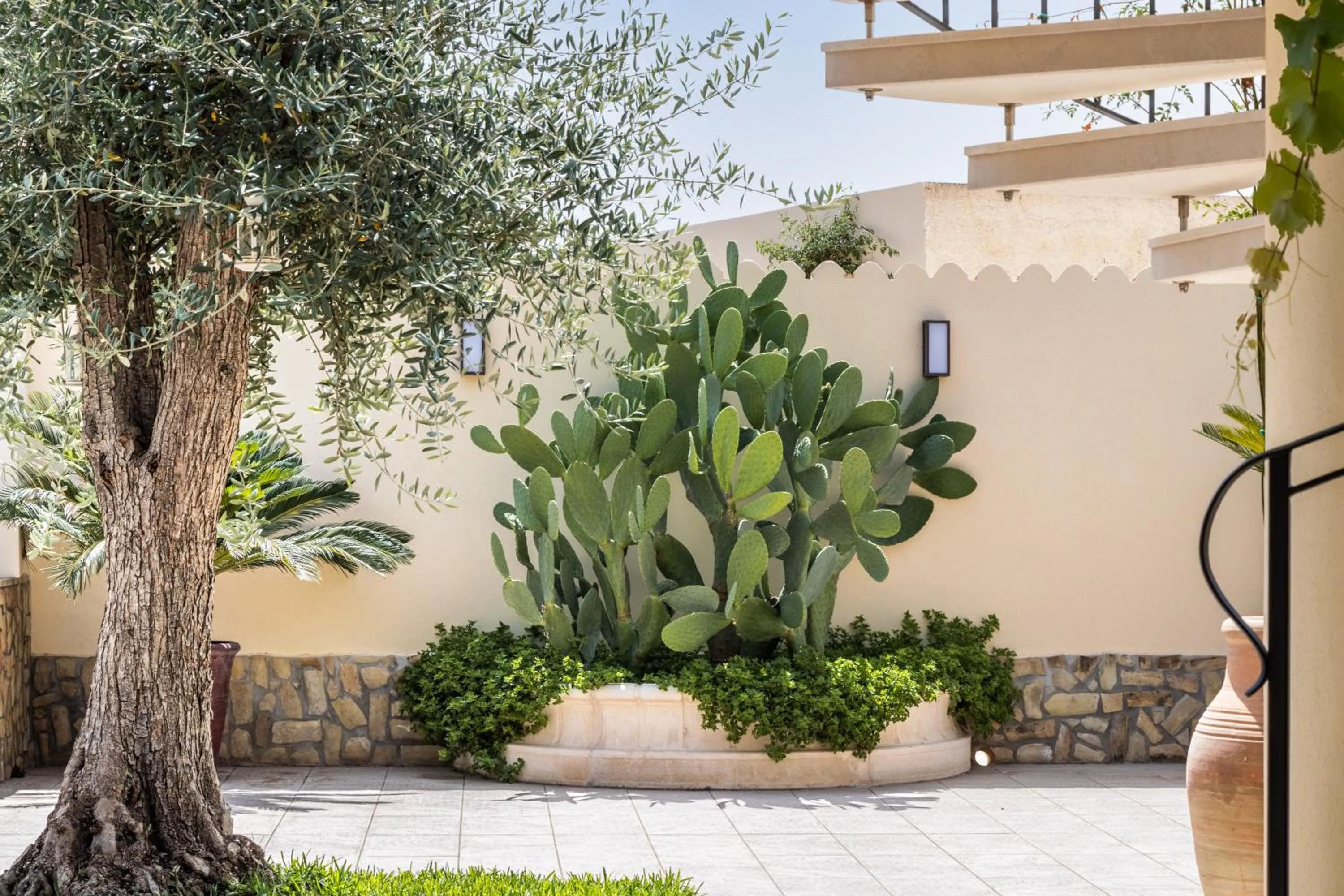 Garden in Villa Felicia