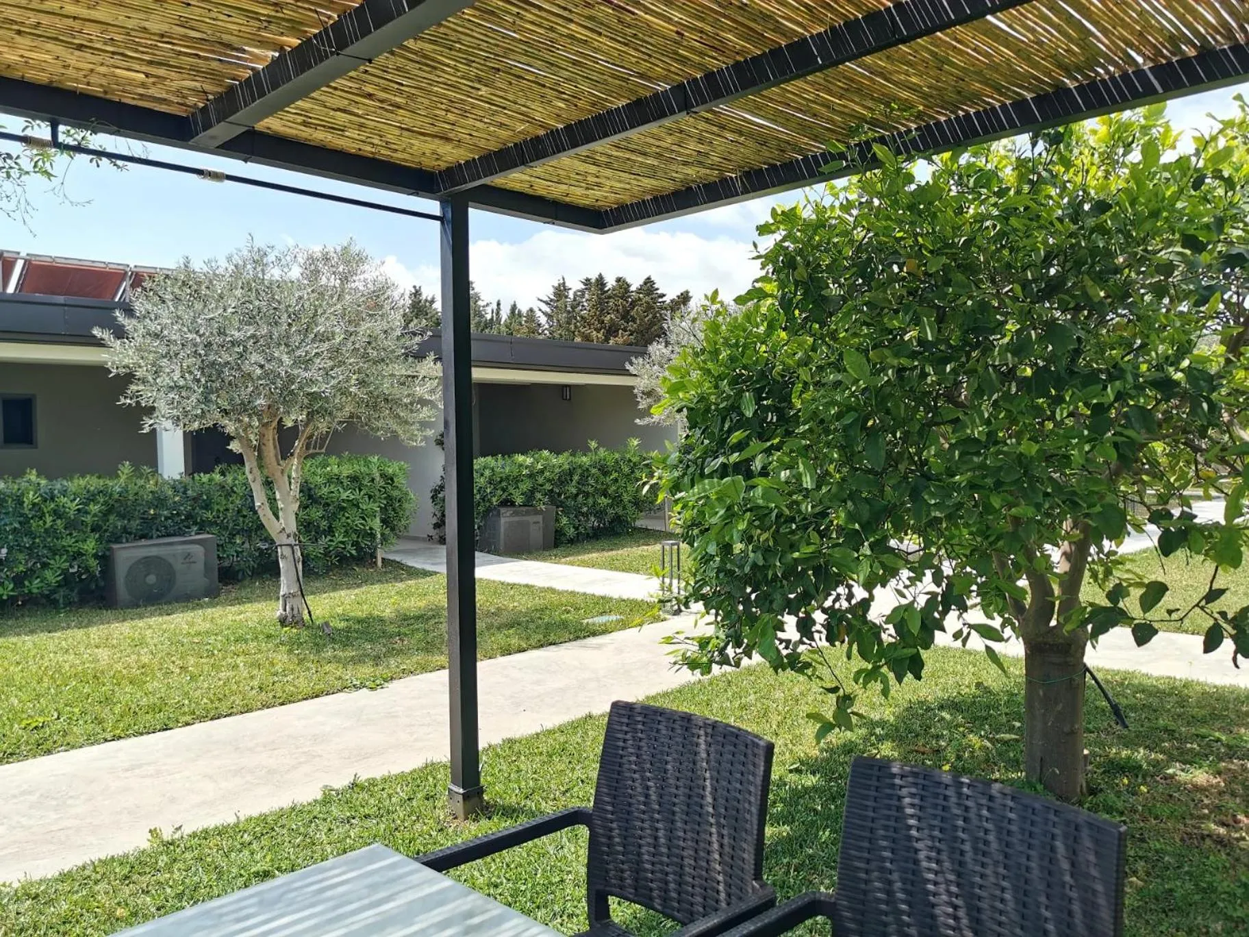 Garden in Villa Felicia