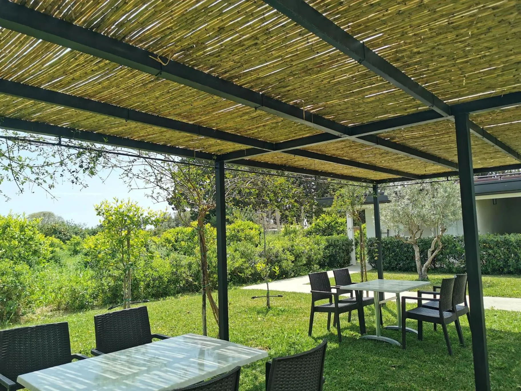 Garden in Villa Felicia