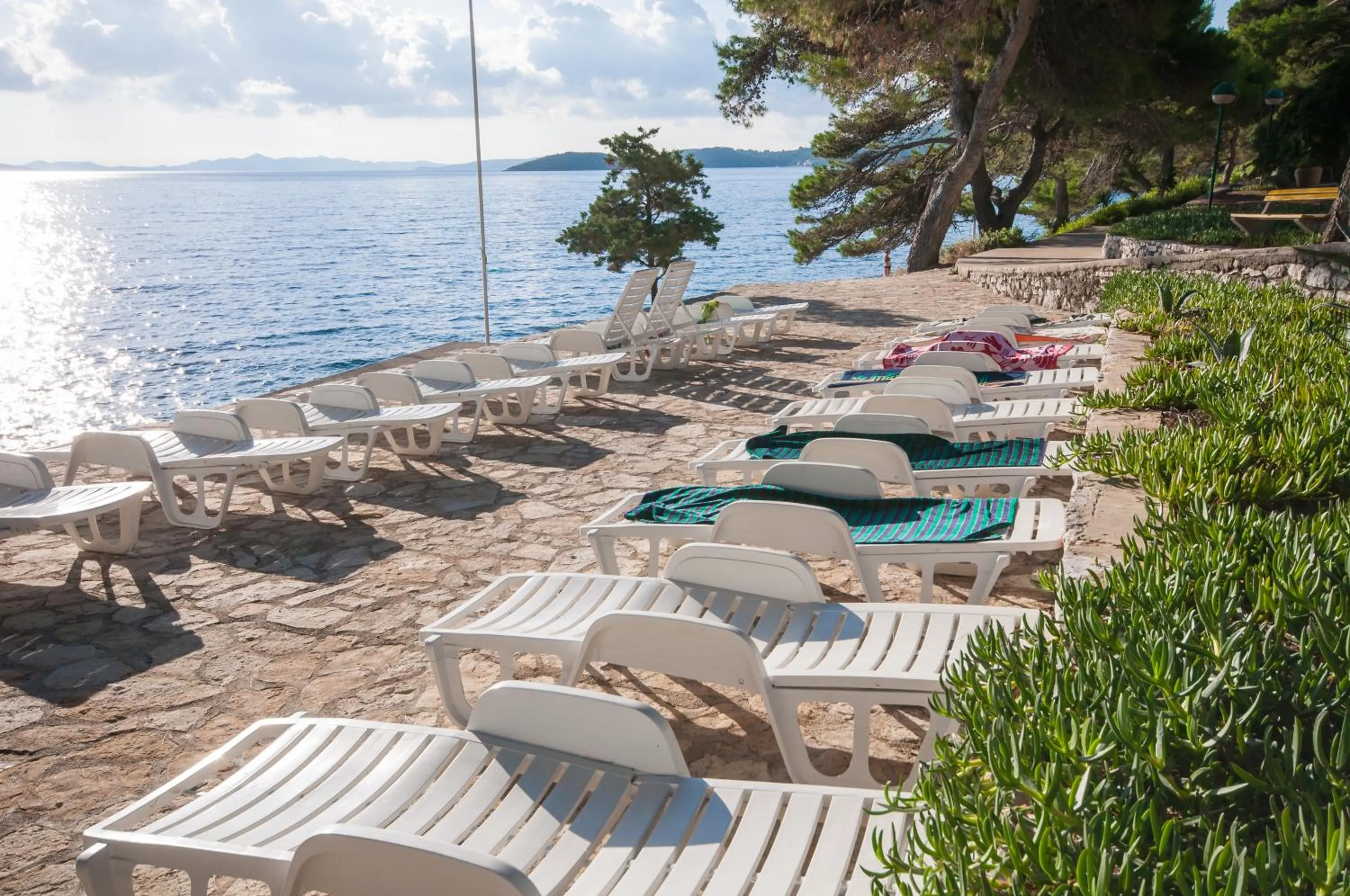 Area and facilities in Hotel Lavanda