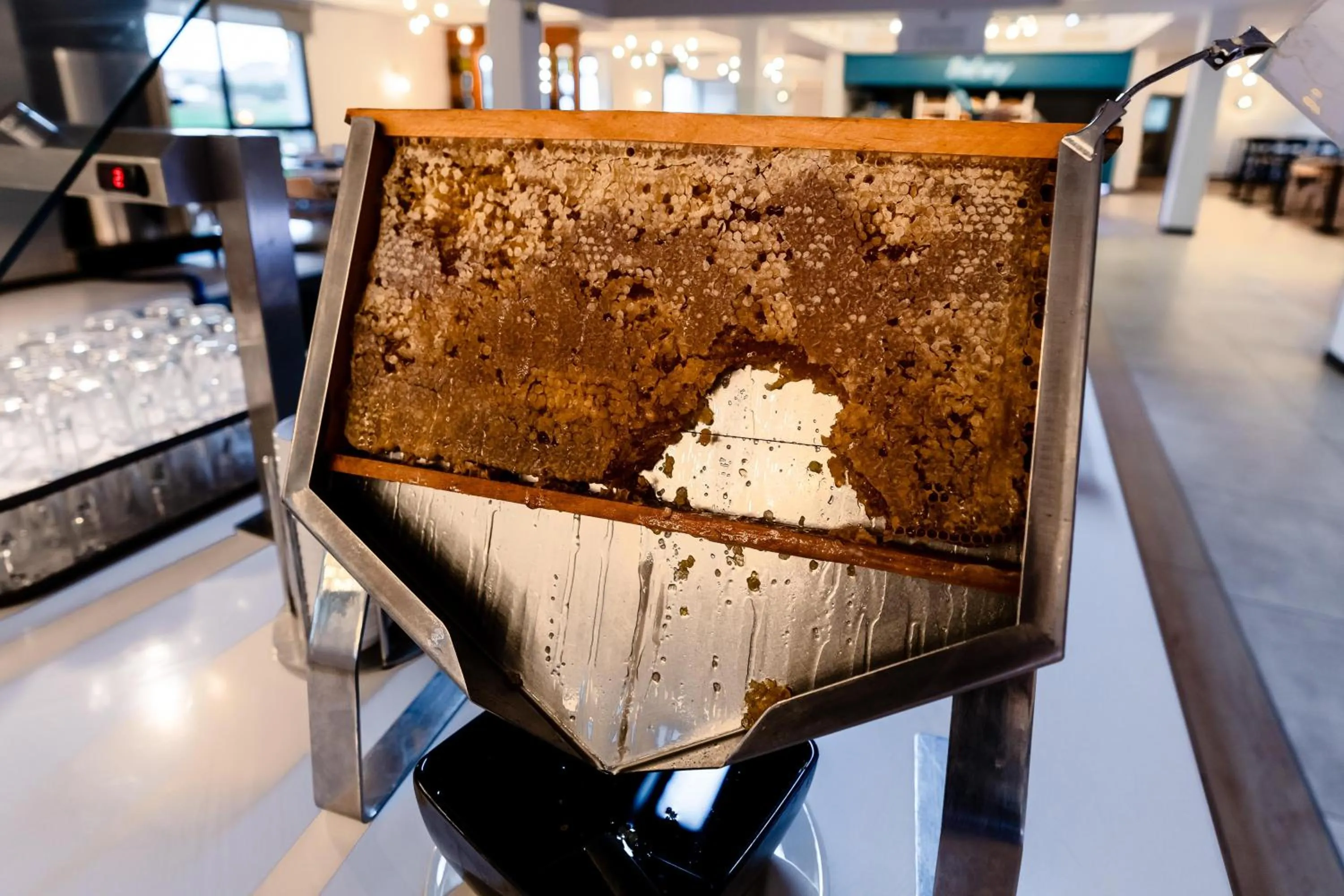 Restaurant/places to eat in Playitas Aparthotel - Sports Resort