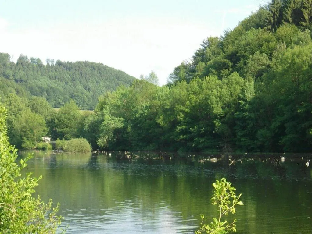 Area and facilities in Gasthof Zum Stausee