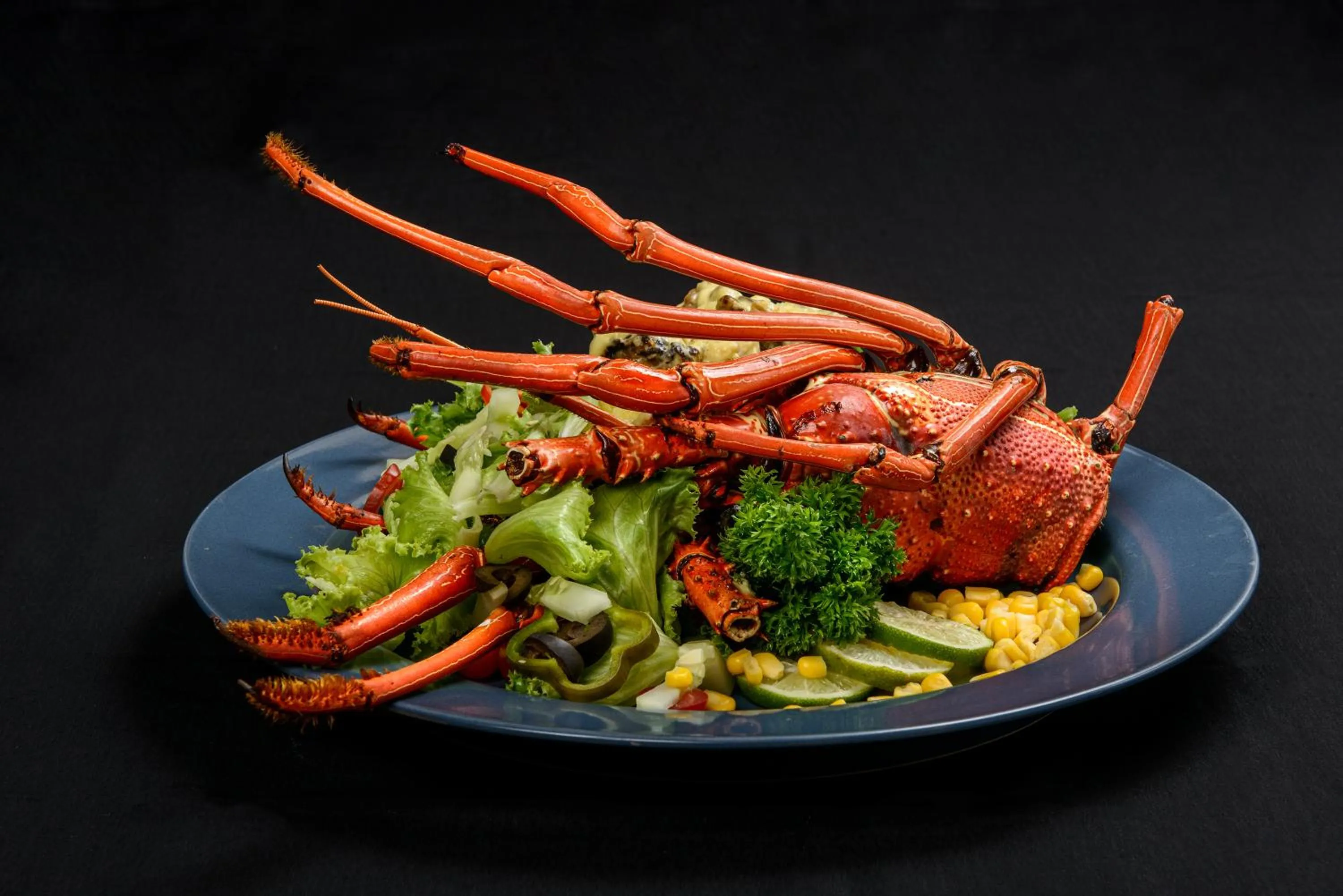 Gazelle International Hotel