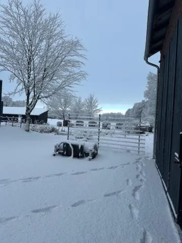 STADE LAND GOLF HOTEL Tiny Häuser