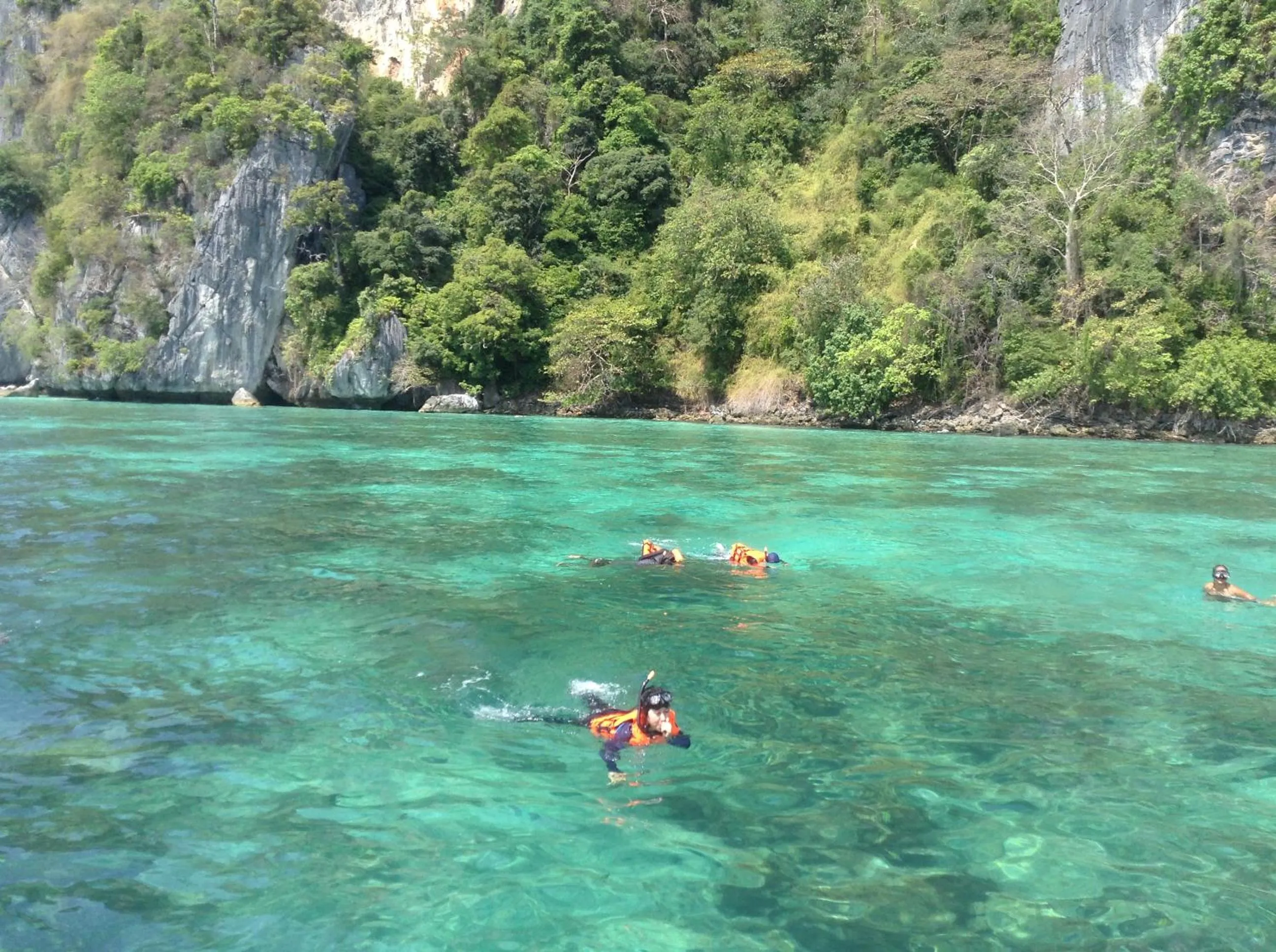 Natural landscape in Sabai House