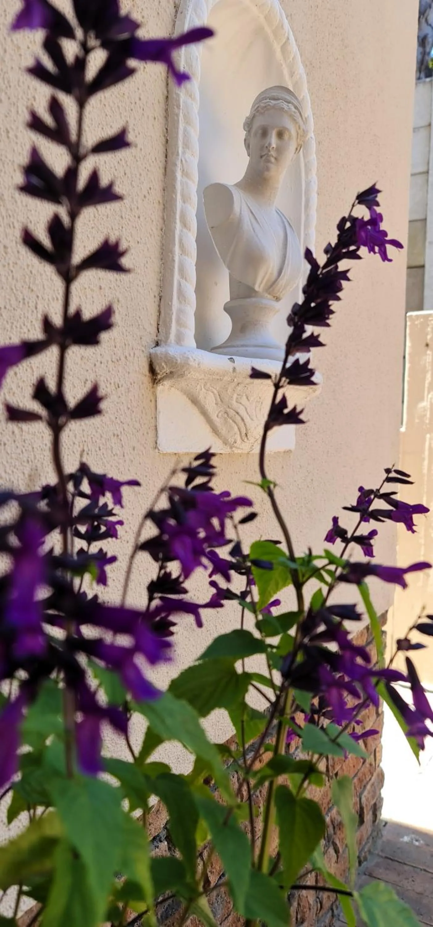 Decorative detail in Walters Lane Luxury Accommodation main house - No loadshedding
