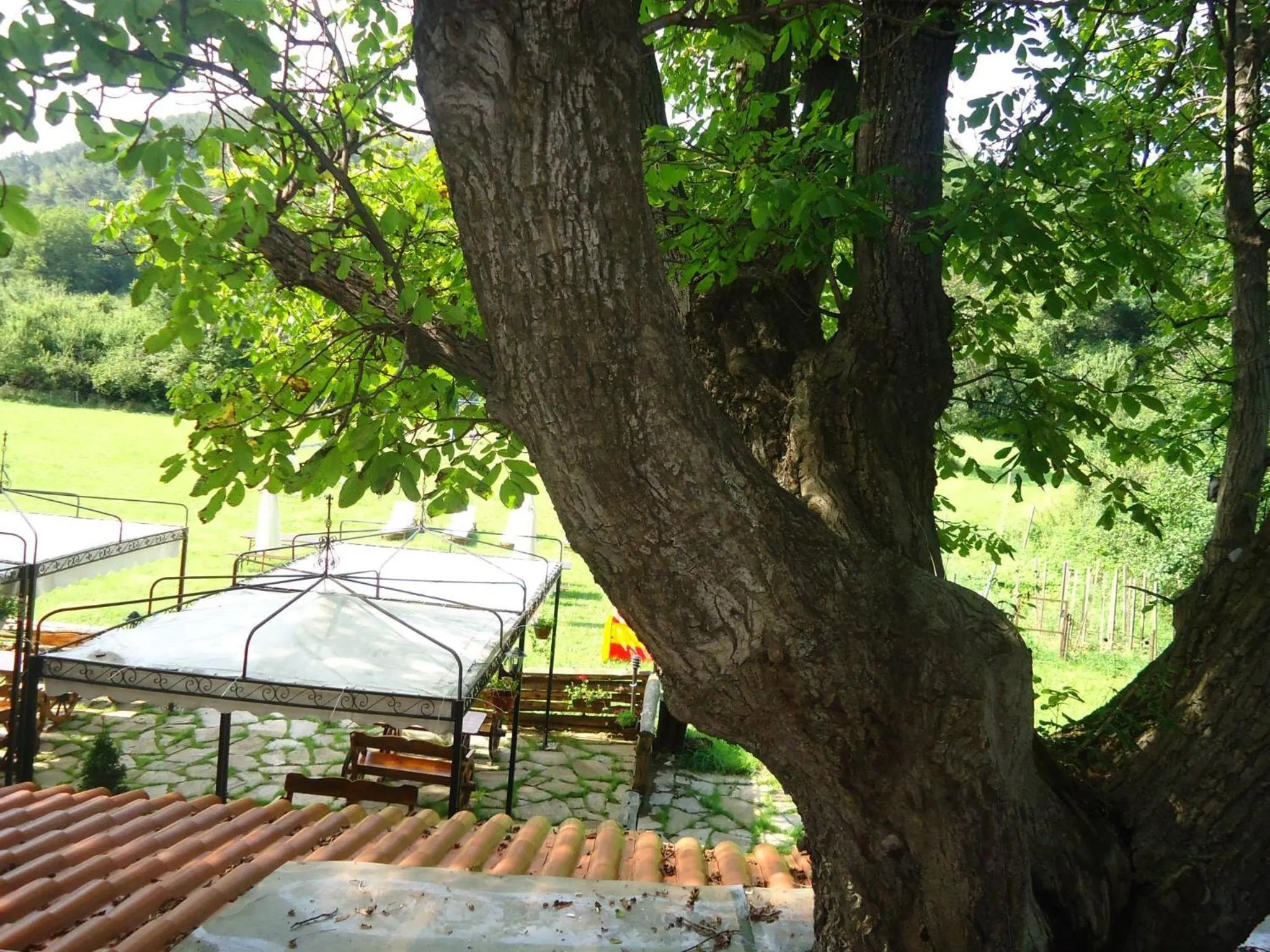 Patio in Complex Praveshki Hanove