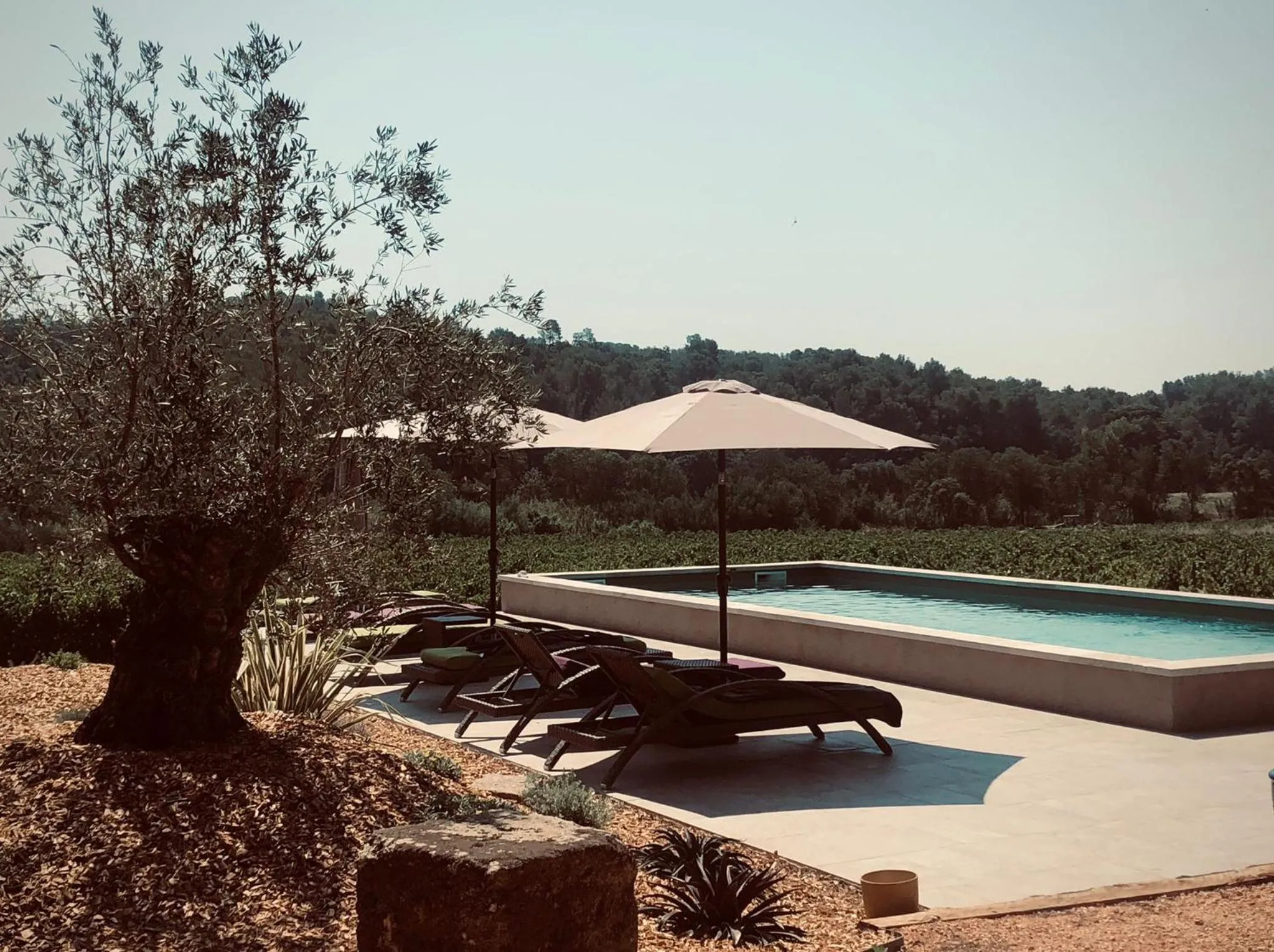Pool view in Sous Les Pins gîtes et chambres d'hôtes