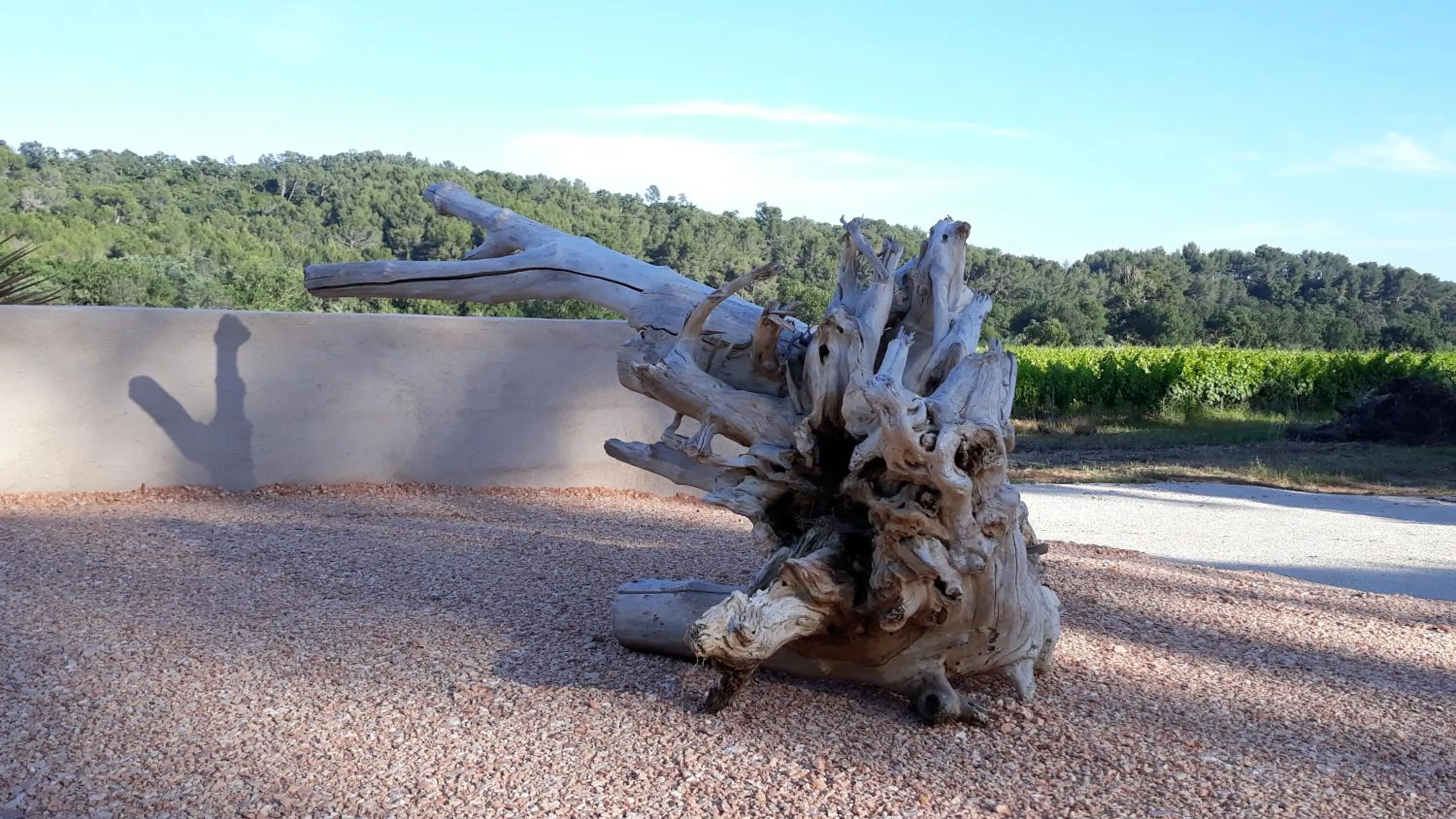 Decorative detail in Sous Les Pins gîtes et chambres d'hôtes