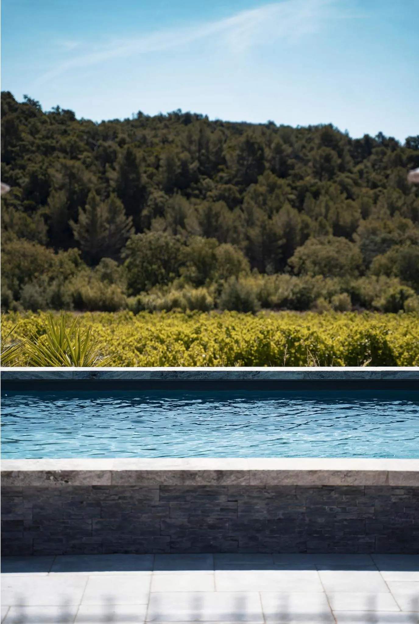 Swimming pool in Sous Les Pins gîtes et chambres d'hôtes