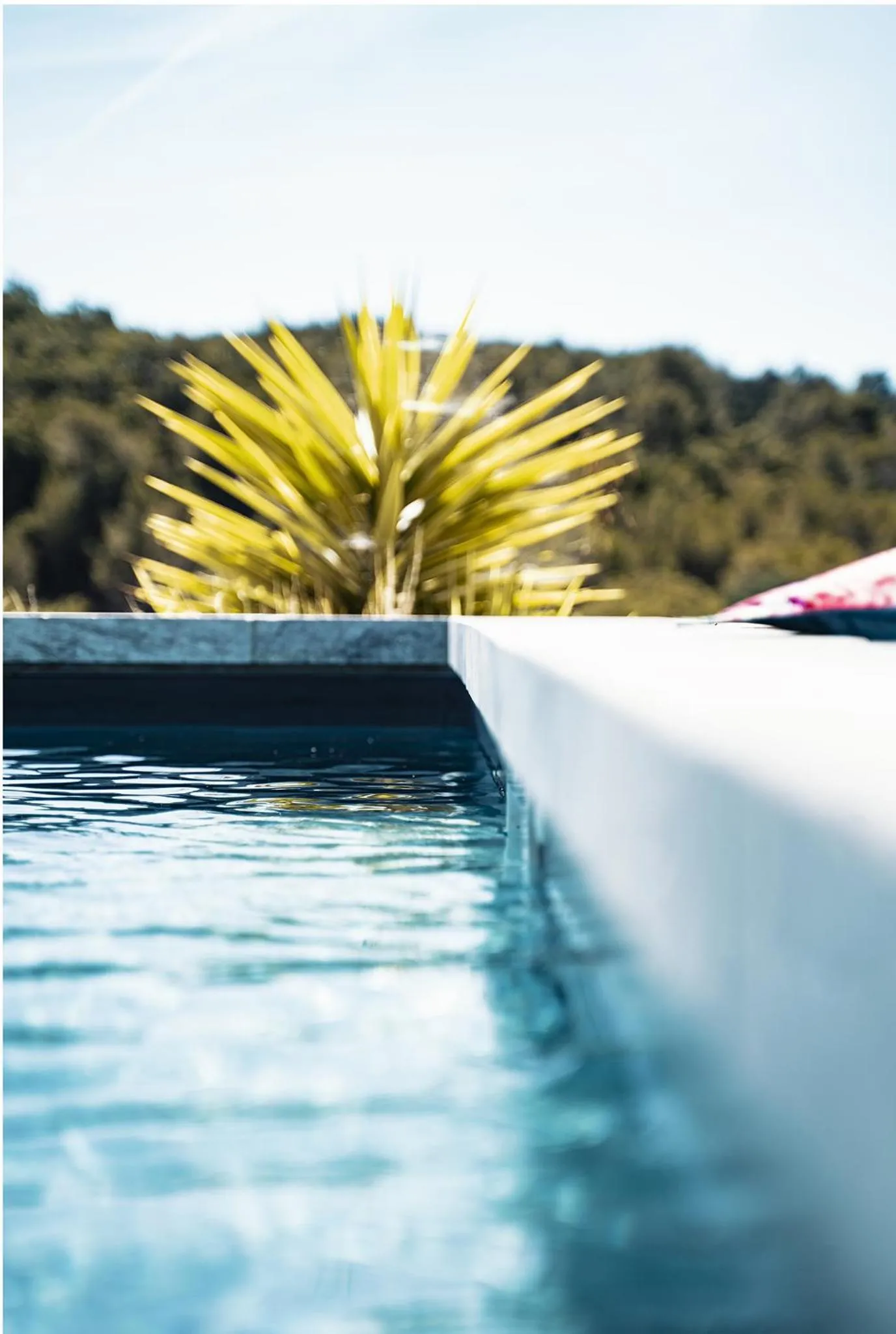 Swimming pool in Sous Les Pins gîtes et chambres d'hôtes