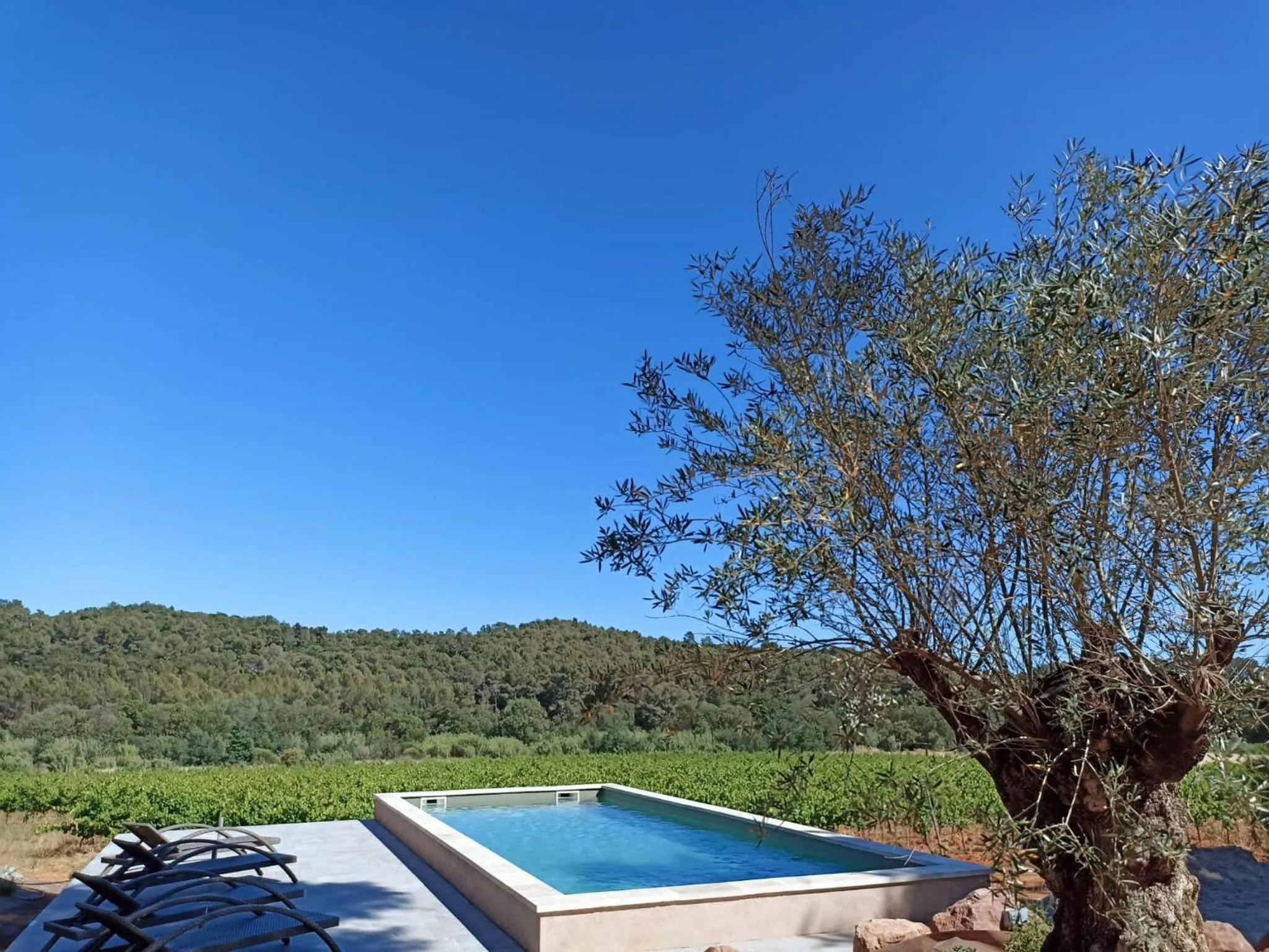 Swimming pool in Sous Les Pins gîtes et chambres d'hôtes