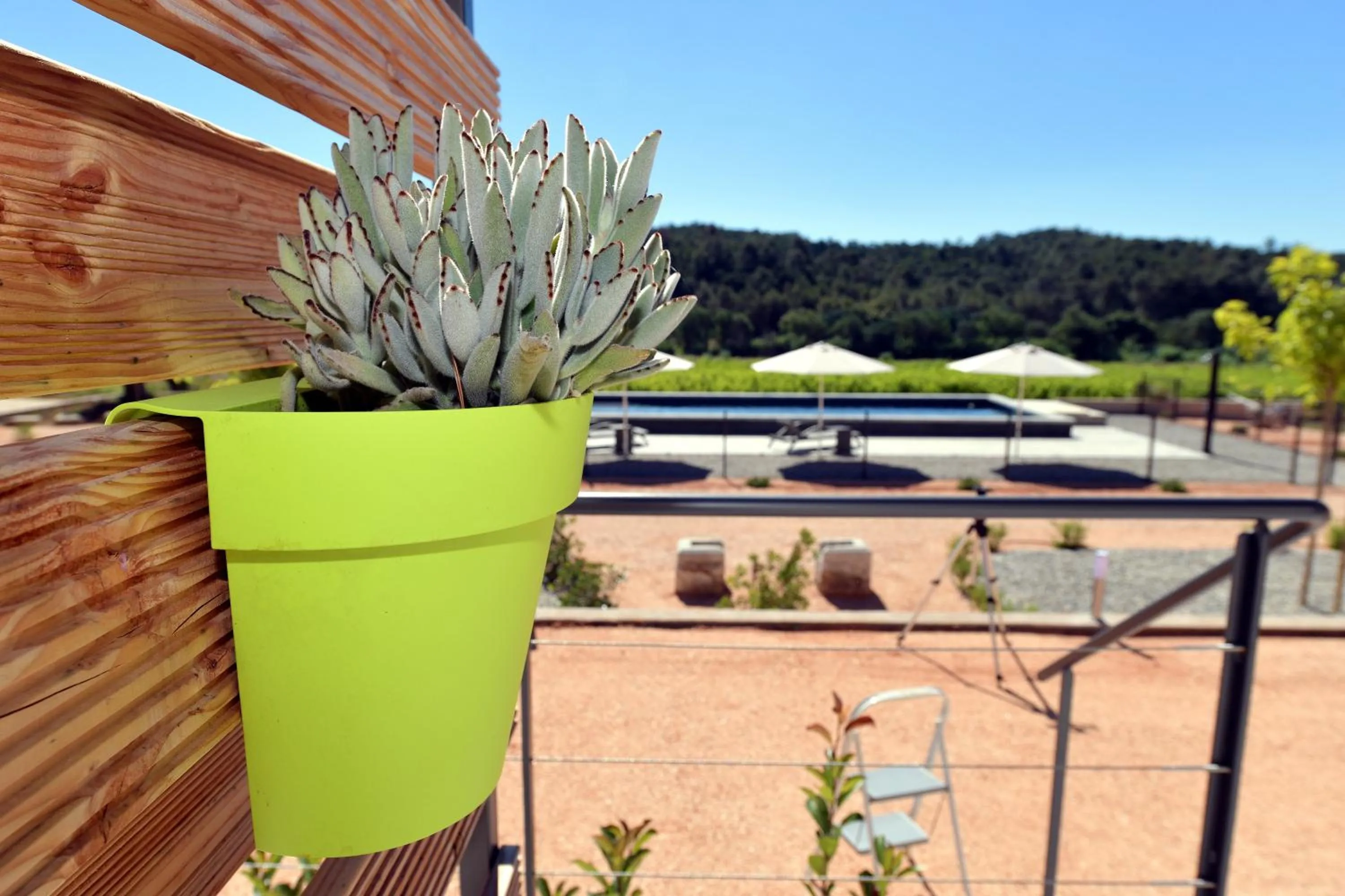 Balcony/Terrace in Sous Les Pins gîtes et chambres d'hôtes