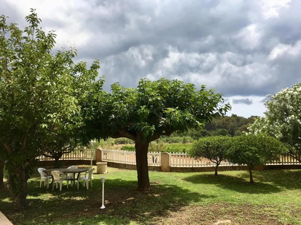 Garden in Sous Les Pins gîtes et chambres d'hôtes