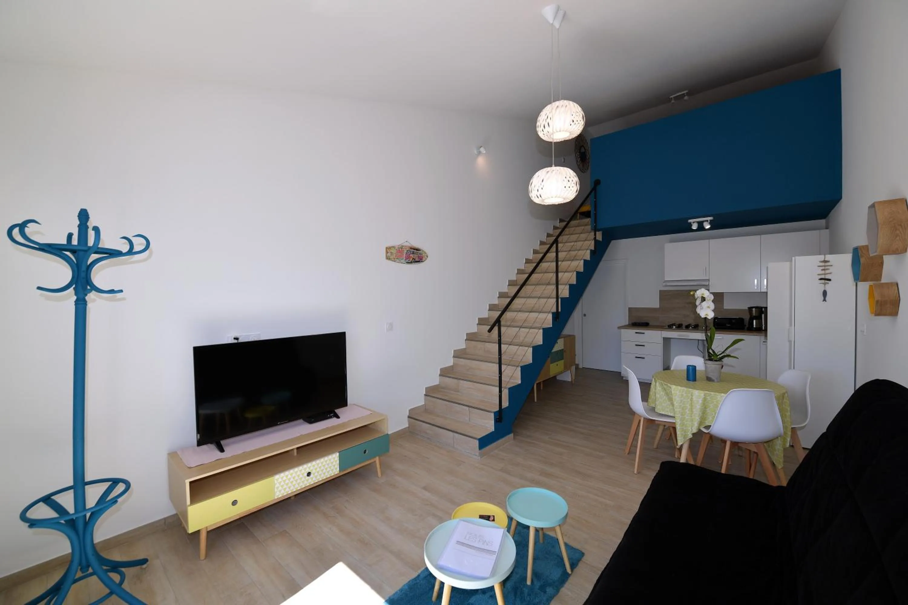 TV and multimedia in Sous Les Pins gîtes et chambres d'hôtes
