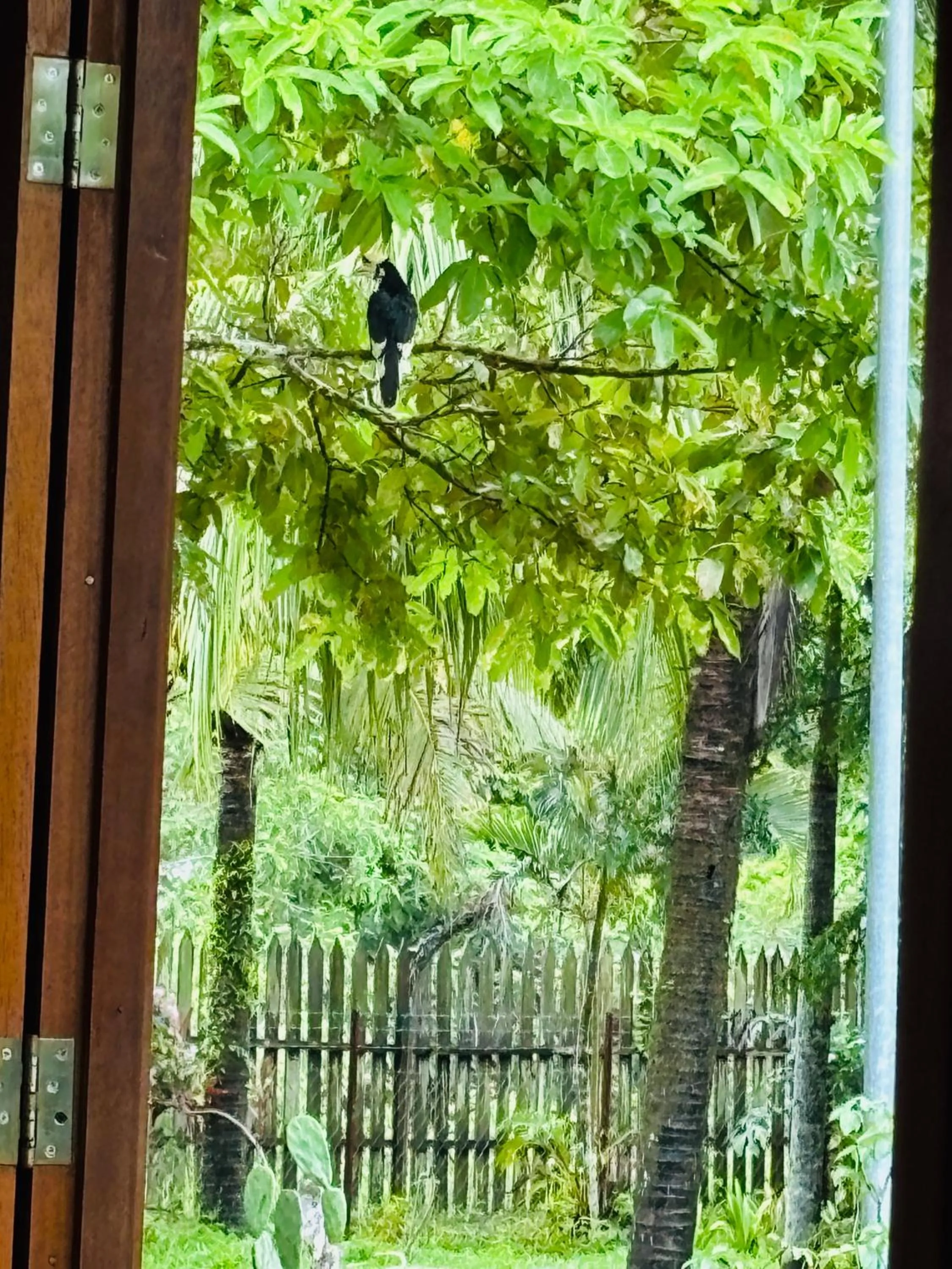 Padimas Villa @Datai Valley