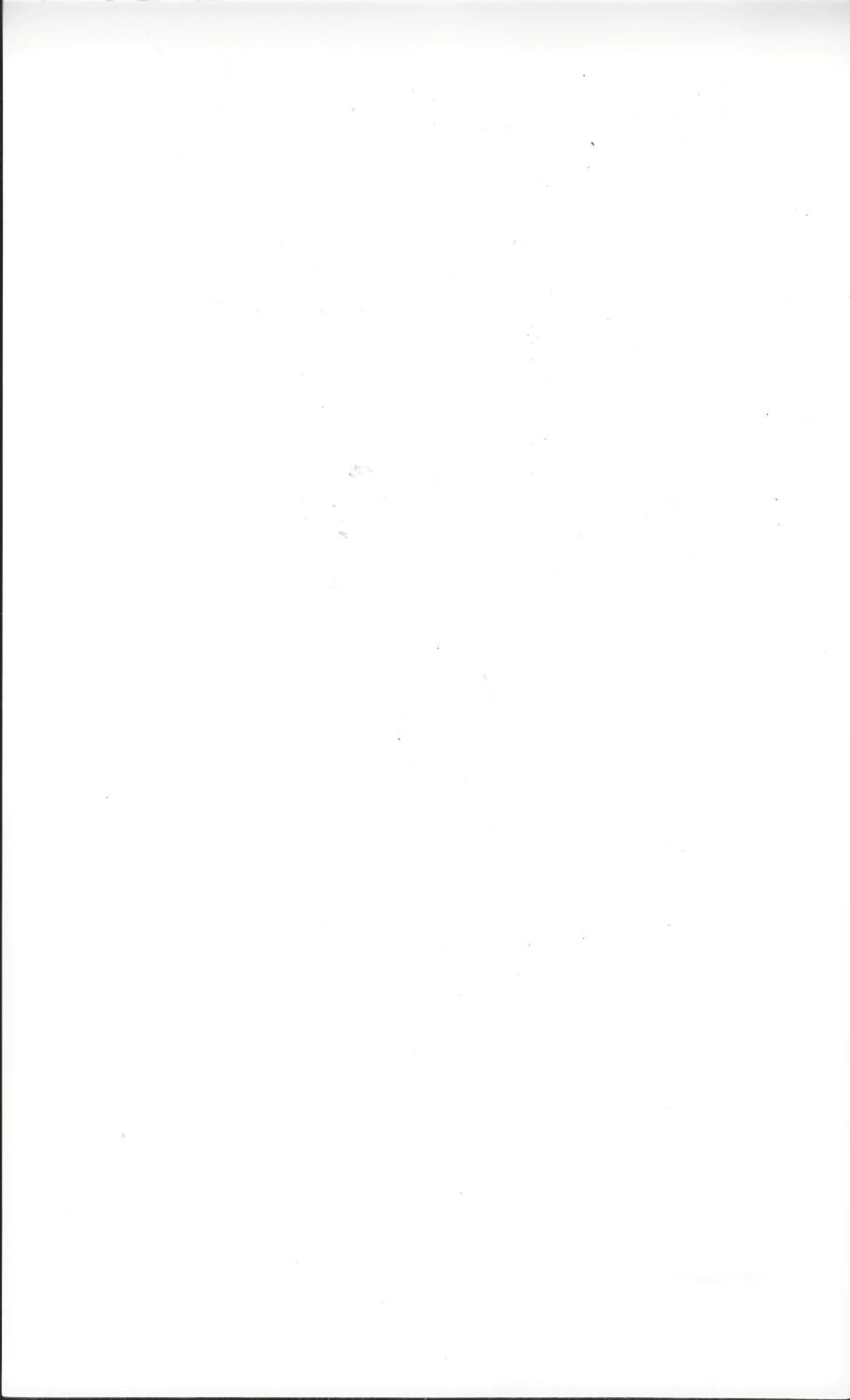 Benikea Hotel Mountain & Ocean Sokcho