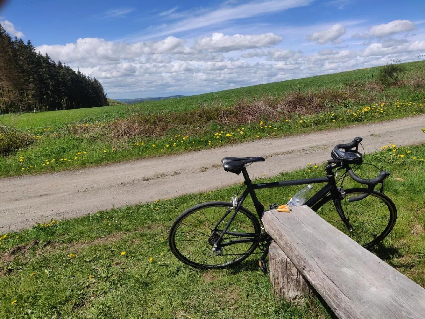 Cycling in Gasthof Braun